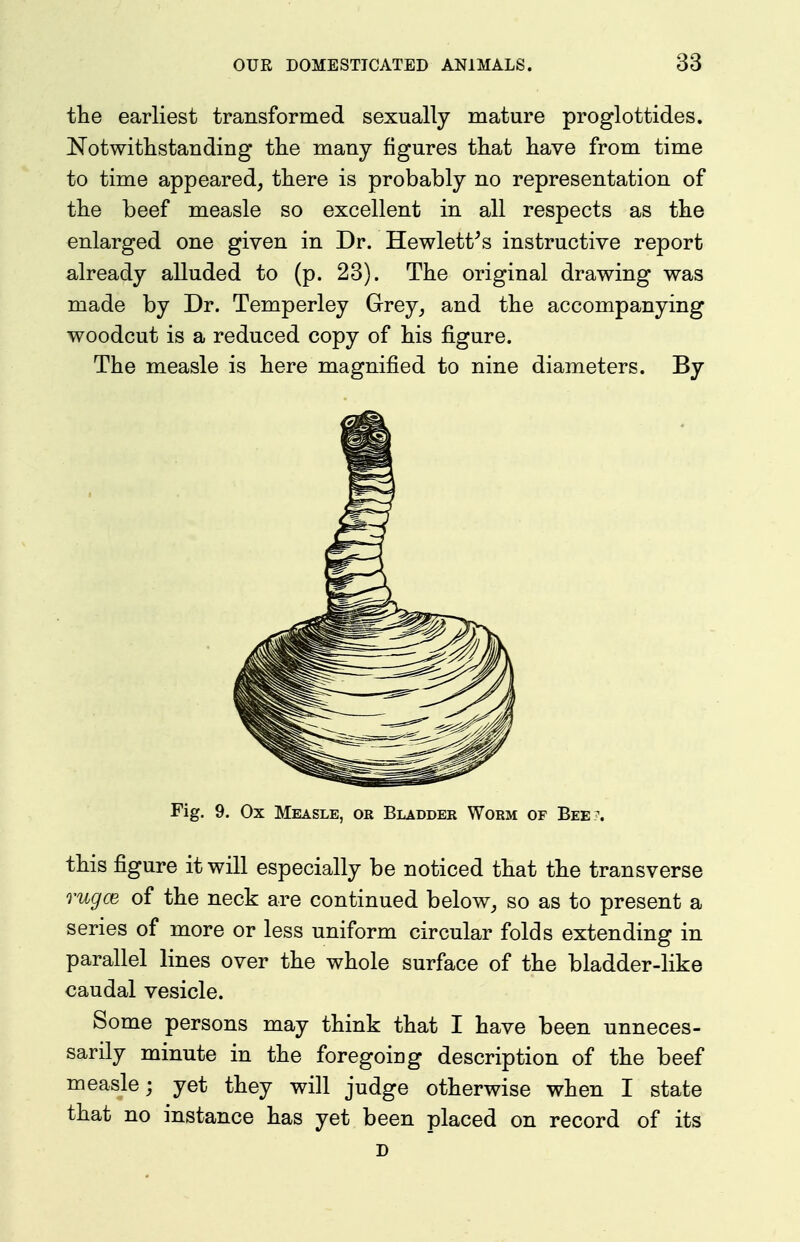 the earliest transformed sexually mature proglottides. Notwithstanding the many figures that have from time to time appeared, there is probably no representation of the beef measle so excellent in all respects as the enlarged one given in Dr. Hewlett^s instructive report already alluded to (p. 23). The original drawing was made by Dr. Temperley Grey, and the accompanying woodcut is a reduced copy of his figure. The measle is here magnified to nine diameters. By Fig. 9. Ox Measle, or Bladder Worm of Bee?. this figure it will especially be noticed that the transverse rugce of the neck are continued below, so as to present a series of more or less uniform circular folds extending in parallel lines over the whole surface of the bladder-like caudal vesicle. Some persons may think that I have been unneces- sarily minute in the foregoing description of the beef measle; yet they will judge otherwise when I state that no instance has yet been placed on record of its D