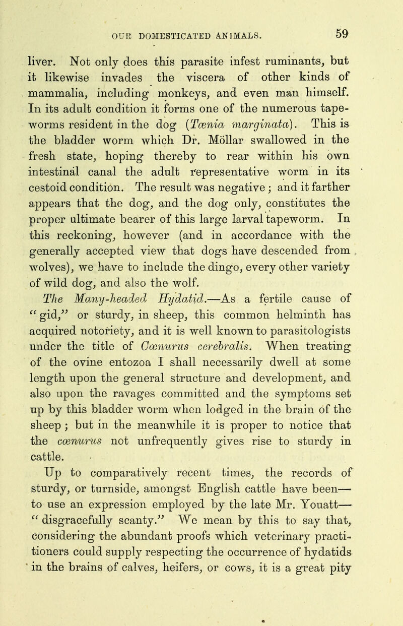 liver. Not only does this parasite infest ruminants, but it likewise invades the viscera of other kinds of mammalia, including monkeys, and even man himself. In its adult condition it forms one of the numerous tape- worms resident in the dog {Tcenia marginata). This is the bladder worm which Dr. Mollar swallowed in the fresh state, hoping thereby to rear within his own intestinal canal the adult representative worm in its cestoid condition. The result was negative ; and it farther appears that the dog, and the dog only, constitutes the proper ultimate bearer of this large larval tapeworm. In this reckoning, however (and in accordance with the generally accepted view that dogs have descended from wolves), we have to include the dingo, every other variety of wild dog, and also the wolf. The Many-headed Hydatid.—As a fertile cause of gid,^^ or sturdy, in sheep, this common helminth has acquired notoriety, and it is well known to parasitologists under the title of Coenurus cerehralis. When treating of the ovine entozoa I shall necessarily dwell at some length upon the general structure and development, and also upon the ravages committed and the symptoms set up by this bladder worm when lodged in the brain of the sheep ; but in the meanwhile it is proper to notice that the coenurus not unfrequently gives rise to sturdy in cattle. Up to comparatively recent times, the records of sturdy, or turnside, amongst English cattle have been— to use an expression employed by the late Mr. Youatt—  disgracefully scanty. We mean by this to say that, considering the abundant proofs which veterinary practi- tioners could supply respecting the occurrence of hydatids ' in the brains of calves, heifers, or cows, it is a great pity
