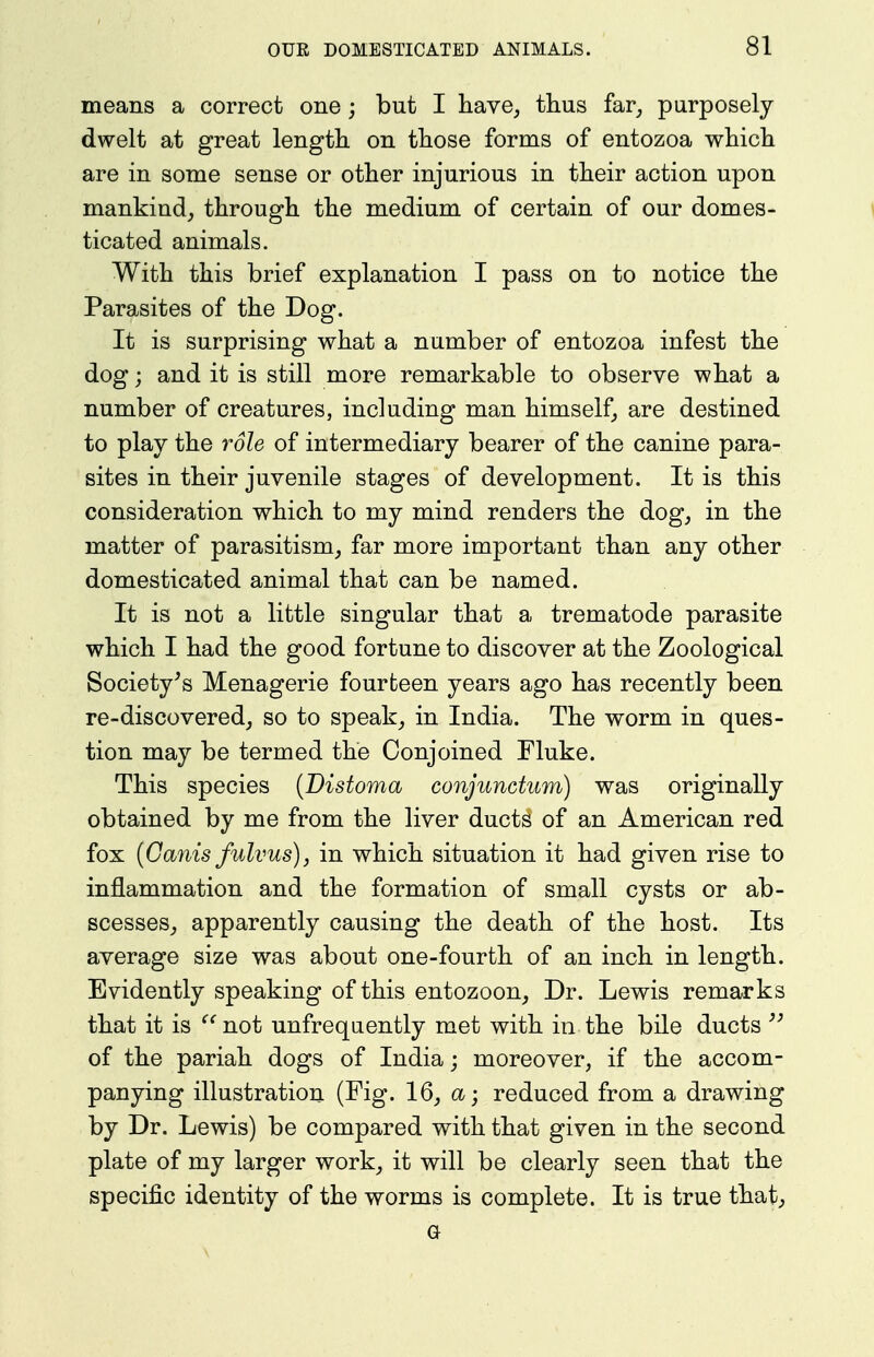 means a correct one; but I have^ thus far, purposely dwelt at great lengtb. on those forms of entozoa which are in some sense or other injurious in their action upon mankind, through the medium of certain of our domes- \ ticated animals. With this brief explanation I pass on to notice the Parasites of the Dog. It is surprising what a number of entozoa infest the dog; and it is still more remarkable to observe what a number of creatures, including man himself, are destined to play the role of intermediary bearer of the canine para- sites in their juvenile stages of development. It is this consideration which to my mind renders the dog, in the matter of parasitism, far more important than any other domesticated animal that can be named. It is not a little singular that a trematode parasite which I had the good fortune to discover at the Zoological Society's Menagerie fourteen years ago has recently been re-discovered, so to speak, in India. The worm in ques- tion may be termed the Conjoined Fluke. This species {Distoma conjunctum) was originally obtained by me from the liver ducts of an American red fox {Gams fulvus), in which situation it had given rise to inflammation and the formation of small cysts or ab- scesses, apparently causing the death of the host. Its average size was about one-fourth of an inch in length. Evidently speaking of this entozoon. Dr. Lewis remarks that it is '^^not unfrequently met with in the bile ducts of the pariah dogs of India; moreover, if the accom- panying illustration (Fig- 16, a; reduced from a drawing by Dr. Lewis) be compared with that given in the second plate of my larger work, it will be clearly seen that the specific identity of the worms is complete. It is true that; a