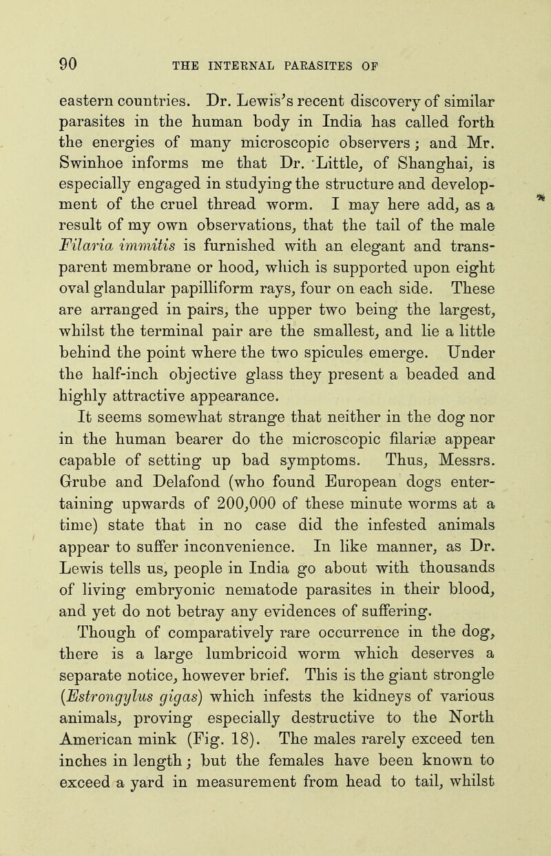 eastern countries. Dr. Lewises recent discovery of similar parasites in tlie human body in India has called forth the energies of many microscopic observers ; and Mr. Swinhoe informs me that Dr. Little, of Shanghai, is especially engaged in studying the structure and develop- ment of the cruel thread worm. I may here add, as a result of my own observations, that the tail of the male Filaria immitis is furnished with an elegant and trans- parent membrane or hood, which is supported upon eight oval glandular papilliform rays, four on each side. These are arranged in pairs, the upper two being the largest, whilst the terminal pair are the smallest, and lie a little behind the point where the two spicules emerge. Under the half-inch objective glass they present a beaded and highly attractive appearance. It seems somewhat strange that neither in the dog nor in the human bearer do the microscopic filariae appear capable of setting up bad symptoms. Thus, Messrs. Grube and Delafond (who found European dogs enter- taining upwards of 200,000 of these minute worms at a time) state that in no case did the infested animals appear to sujffer inconvenience. In like manner, as Dr. Lewis tells us, people in India go about with thousands of living embryonic nematode parasites in their blood, and yet do not betray any evidences of suffering. Though of comparatively rare occurrence in the dog, there is a large lumbricoid worm which deserves a separate notice, however brief. This is the giant strongle {Estrongylus gigas) which infests the kidneys of various animals, proving especially destructive to the North American mink (Fig. 18). The males rarely exceed ten inches in length j but the females have been known to exceed a yard in measurement from head to tail, whilst