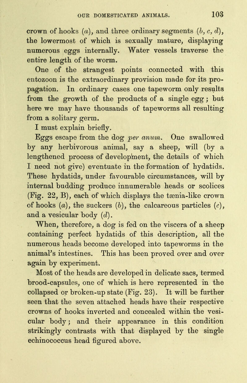 crown of hooks {a), and tliree ordinary segments [h, c, d), the lowermost of which is sexually mature^ displaying numerous eggs internally. Water vessels traverse the entire length of the worm. One of the strangest points connected with this entozoon is the extraordinary provision made for its pro- pagation. In ordinary cases one tapeworm only results from the growth of the products of a single egg; but here we may have thousands of tapeworms all resulting from a solitary germ. I must explain briefly. Eggs escape from the dog jper anum. One swallowed by any herbivorous animal, say a sheep, will (by a lengthened process of development, the details of which I need not give) eventuate in the formation of hydatids. These hydatids, under favourable circumstances, will by internal budding produce innumerable heads or scolices (Fig. 22, B), each of which displays the tsenia-like crown of hooks {a), the suckers (6), the calcareous particles (c), and a vesicular body (d). When, therefore, a dog is fed on the viscera of a sheep containing perfect hydatids of this description, all the numerous heads become developed into tapeworms in the animal's intestines. This has been proved over and over again by experiment. Most of the heads are developed in delicate sacs, termed brood-capsules, one of which is here represented in the collapsed or broken-up state (Fig. 23). It will be further seen that the seven attached heads have their respective crowns of hooks inverted and concealed within the vesi- cular body; and their appearance in this condition strikingly contrasts with that displayed by the single echinococcus head figured above.
