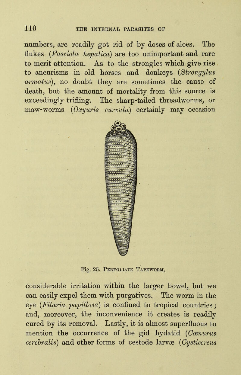 numbers^ are readily got rid of by doses of aloes. The flukes {Fasciola hepatica) are too unimportant and rare to merit attention. As to the strongles which give rise. to aneurisms in old horses and donkeys (Strongylus armatus)j no doubt they are sometimes the cause of death,, but the amount of mortality from this source is exceedingly trifling. The sharp-tailed threadworms^ or maw-worms (Oxyuris cmtvuIo) certainly may occasion Fig. 25. Perfoliate Tapeworm. considerable irritation within the larger bowel^ but we can easily expel them with purgatives. The worm in the eye {Filaria jpa;pillosa) is confined to tropical countries j andj moreover^ the inconvenience it creates is readily cured by its removal. Lastly^ it is almost superfluous to mention the occurrence of the gid hydatid {Coenurus cerehralis) and other forms of cestode larvae {Gysticercus