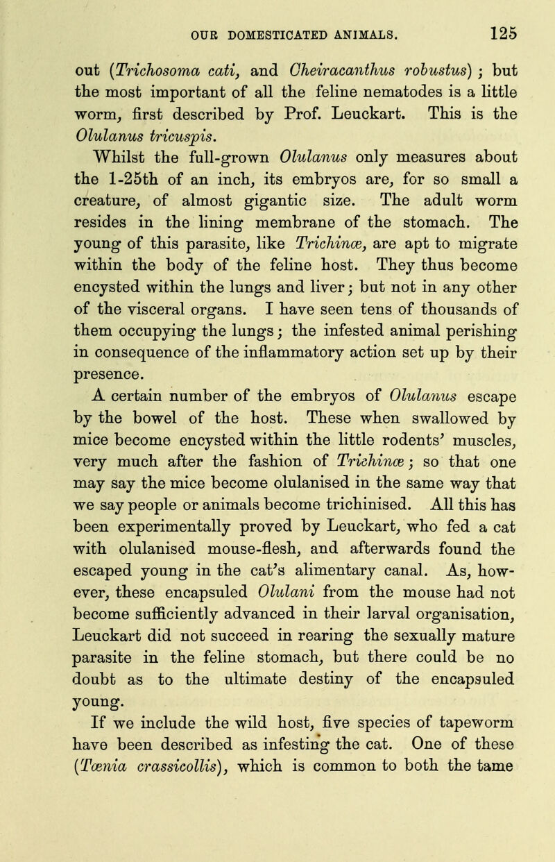 out [Trichosoma cati, and Gheiracanthus rohustus) ; but tlie most important of all the feline nematodes is a little worm, first described by Prof. Leuckart. This is the Olulanus tricusjpis. Whilst the full-grown Olulanus only measures about the l-25th of an inch, its embryos are, for so small a creature, of almost gigantic size. The adult worm resides in the lining membrane of the stomach. The young of this parasite, like Trichince, are apt to migrate within the body of the feline host. They thus become encysted within the lungs and liver; but not in any other of the visceral organs. I have seen tens of thousands of them occupying the lungs; the infested animal perishing in consequence of the inflammatory action set up by their presence. A certain number of the embryos of Olulanus escape by the bowel of the host. These when swallowed by mice become encysted within the little rodents^ muscles, very much after the fashion of Trichince; so that one may say the mice become olulanised in the same way that we say people or animals become trichinised. All this has been experimentally proved by Leuckart, who fed a cat with olulanised mouse-flesh, and afterwards found the escaped young in the cat's alimentary canal. As, how- ever, these encapsuled Olulani from the mouse had not become sufiiciently advanced in their larval organisation, Leuckart did not succeed in rearing the sexually mature parasite in the feline stomach, but there could be no doubt as to the ultimate destiny of the encapsuled young. If we include the wild host, five species of tapeworm have been described as infesting the cat. One of these {Tcenia crassicollis), which is common to both the tame