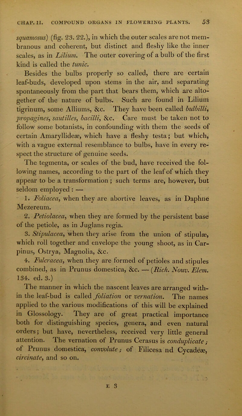 squamosus) (fig. 23. 22.), in which the outer scales are not mem- branous and coherent, but distinct and fleshy like the inner scales, as in Lilium. The outer covering of a bulb of the first kind is called the tunic. Besides the bulbs properly so called, there are certain leaf-buds, developed upon stems in the air, and separating spontaneously from the part that bears them, which are alto- gether of the nature of bulbs. Such are found in Lilium tigrinum, some Alliums, &c. They have been called bulbillij propagines, sautilles, bacilli, &c. Care must be taken not to follow some botanists, in confounding with them the seeds of certain Amaryllideae, which have a fleshy testa; but which, with a vague external resemblance to bulbs, have in every re- spect the structure of genuine seeds. The tegmenta, or scales of the bud, have received the fol- lowing names, according to the part of the leaf of which they appear to be a transformation; such terms are, however, but seldom employed : — 1. Eoliacea, when they are abortive leaves, as in Daphne Mezereum. 2. Petiolacea, when they are formed by the persistent base of the petiole, as in Juglans regia. 3. Stipulacea, when they arise from the union of stipulae, which roll together and envelope the young shoot, as in Car- pin us, Ostrya, Magnolia, &c. 4. Eulcracea, when they are formed of petioles and stipules combined, as in Prunus domestica, &c. — (Rich. Nouv. Elern. 134. ed. 3.) The manner in which the nascent leaves are arranged with- in the leaf-bud is called foliation or vernation. The names applied to the various modifications of this will be explained in Glossology. They are of great practical importance both for distinguishing species, genera, and even natural orders; but have, nevertheless, received very little general attention. The vernation of Prunus Cerasus is conduplicate ; of Prunus domestica, convolute; of Filicesa nd Cycadese, circulate, and so on.