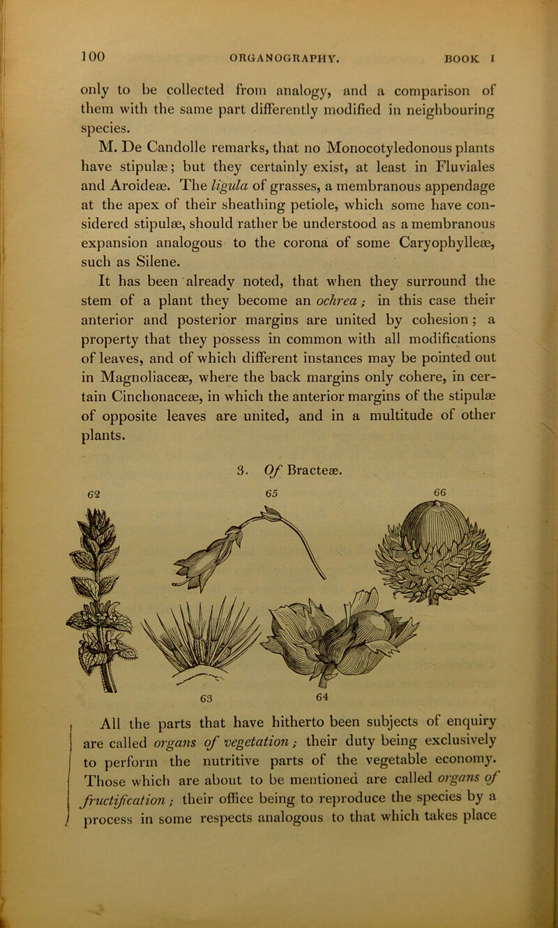 only to be collected from analogy, and a comparison of them with the same part differently modified in neighbouring species. M. De Candolle remarks, that no Monocotyledonous plants have stipulae; but they certainly exist, at least in Fluviales and Aroideae. The li'gula of grasses, a membranous appendage at the apex of their sheathing petiole, which some have con- sidered stipulae, should rather be understood as a membranous expansion analogous to the corona of some Caryophylleae, such as Silene. It has been already noted, that when they surround the stem of a plant they become an ochrea ; in this case their anterior and posterior margins are united by cohesion ; a property that they possess in common with all modifications of leaves, and of which different instances may be pointed out in Magnoliaceae, where the back margins only cohere, in cer- tain Cinchonaceae, in which the anterior margins of the stipulae of opposite leaves are united, and in a multitude of other plants. 3. Of Bracteae. 62 65 66 All the parts that have hitherto been subjects of enquiry are called organs of vegetation; their duty being exclusively to perform the nutritive parts of the vegetable economy. Those which are about to be mentioned are called organs of fructification; their office being to reproduce the species by a process in some respects analogous to that which takes place