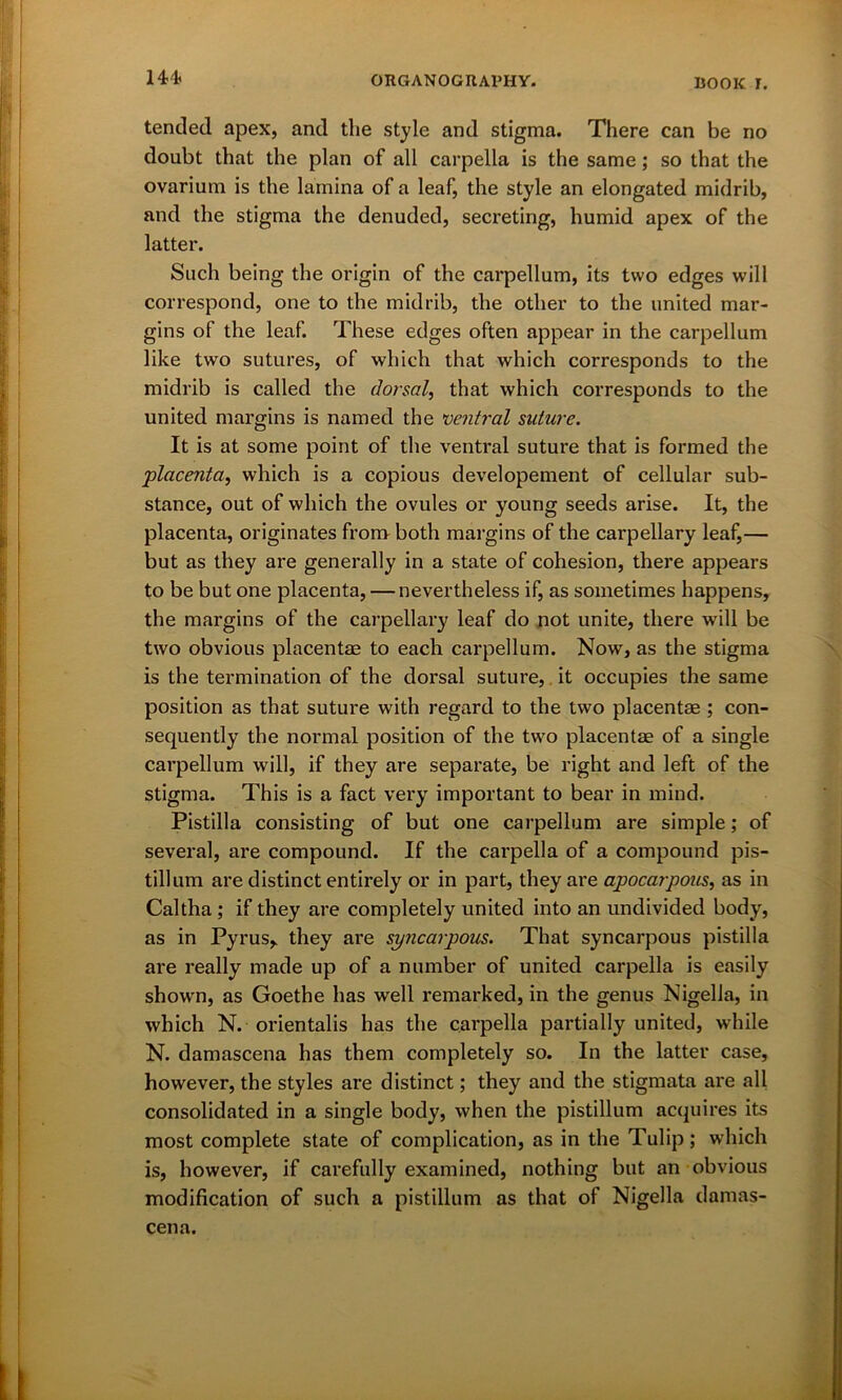 tended apex, and the style and stigma. There can be no doubt that the plan of all carpella is the same; so that the ovarium is the lamina of a leaf, the style an elongated midrib, and the stigma the denuded, secreting, humid apex of the latter. Such being the origin of the carpellum, its two edges will correspond, one to the midrib, the other to the united mar- gins of the leaf. These edges often appear in the carpellum like two sutures, of which that which corresponds to the midrib is called the dorsal, that which corresponds to the united margins is named the ventral suture. It is at some point of the ventral suture that is formed the 'placenta, which is a copious developement of cellular sub- stance, out of which the ovules or young seeds arise. It, the placenta, originates from both margins of the cai’pellary leaf,— but as they are generally in a state of cohesion, there appears to be but one placenta, — nevertheless if, as sometimes happens, the margins of the carpellary leaf do not unite, there will be two obvious placentae to each carpellum. Now, as the stigma is the termination of the dorsal suture, it occupies the same position as that suture with regard to the two placentae ; con- sequently the normal position of the two placentae of a single carpellum will, if they are separate, be right and left of the stigma. This is a fact very important to bear in mind. Pistilla consisting of but one carpellum are simple; of several, are compound. If the carpella of a compound pis- tillum are distinct entirely or in part, they are apocarpous, as in Caltha ; if they are completely united into an undivided body, as in Pyrus,. they are syncarpous. That syncarpous pistilla are really made up of a number of united carpella is easily shown, as Goethe has well remarked, in the genus Nigella, in which N. orientalis has the carpella partially united, while N. damascena has them completely so. In the latter case, however, the styles are distinct; they and the stigmata are all consolidated in a single body, when the pistillum acquires its most complete state of complication, as in the Tulip; which is, however, if carefully examined, nothing but an obvious modification of such a pistillum as that of Nigella damas- cena. I!