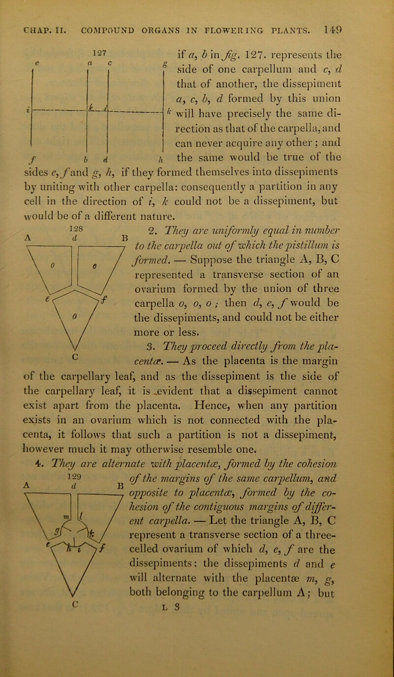 127 a c k i f if a, b in fg. 127. represents the side of one carpellum and c, d that of another, the dissepiment a, c, b, d formed by this union k will have precisely the same di- rection as that of the carpella, and can never acquire any other ; and the same would be true of the sides Cj/’and g, h, if they formed themselves into dissepiments by uniting with other carpella: consequently a partition in any cell in the direction of i, 7c could not be a dissepiment, but would be of a different nature. 2. They are uniformly equal in number to the carpella out of which the pistillum is formed. — Suppose the triangle A, B, C represented a transverse section of an ovarium formed by the union of three carpella o, o, o ; then d, e, f would be the dissepiments, and could not be either more or less. 3. They proceed directly from the pla- centae. — As the placenta is the margin of the carpellary leaf, and as the dissepiment is the side of the carpellary leaf, it is ..evident that a dissepiment cannot exist apart from the placenta. Hence, when any partition exists in an ovarium which is not connected with the pla- centa, it follows that such a partition is not a dissepiment, however much it may otherwise resemble one. 4. They are alternate with placentae, formed by the cohesion of the margins of the same carpellum, and opposite to placentae, formed by the co- hesion of the contiguous margins of differ- ent carpella. — Let the triangle A, B, C represent a transverse section of a three- celled ovarium of which d, e, f are the dissepiments: the dissepiments d and e will alternate with the placentae in, g, both belonging to the carpellum A; but L 3 129 d B