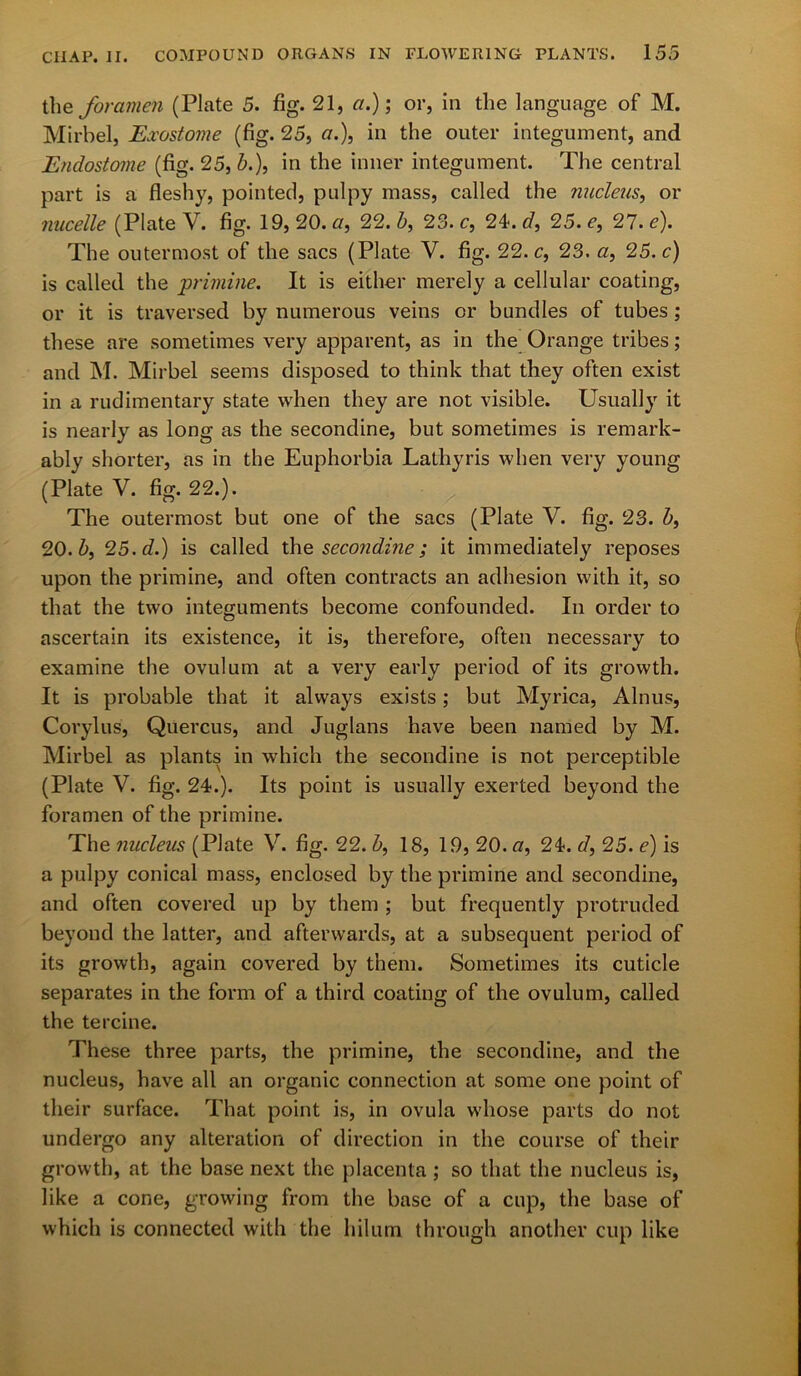 the foramen (Plate 5. fig. 21, a.); or, in the language of M. Mirbel, Exostome (fig. 25, a.), in the outer integument, and Endostome (fig. 25, b.), in the inner integument. The central part is a fleshy, pointed, pulpy mass, called the nucleus, or nucelle (Plate V. fig. 19, 20. a, 22. b, 23. c, 24. d, 25. e, 27. e). The outermost of the sacs (Plate V. fig. 22. c, 23. a, 25. c) is called the primine. It is either merely a cellular coating, or it is traversed by numerous veins or bundles of tubes; these are sometimes very apparent, as in the Orange tribes; and M. Mirbel seems disposed to think that they often exist in a rudimentary state when they are not visible. Usually it is nearly as long as the secondine, but sometimes is remark- ably shorter, as in the Euphorbia Lathyris when very young (Plate V. fig. 22.). The outermost but one of the sacs (Plate V. fig. 23. b, 20. b, 25. d.) is called the secondine; it immediately reposes upon the primine, and often contracts an adhesion with it, so that the two integuments become confounded. In order to ascertain its existence, it is, therefore, often necessary to examine the ovulum at a very early period of its growth. It is probable that it always exists; but Myrica, Alnus, Corylus, Quercus, and Juglans have been named by M. Mirbel as plants in which the secondine is not perceptible (Plate V. fig. 24.). Its point is usually exerted beyond the foramen of the primine. The nucleus (Plate V. fig. 22. b, 18, 19, 20. a, 24. d, 25. e) is a pulpy conical mass, enclosed by the primine and secondine, and often covered up by them ; but frequently protruded beyond the latter, and afterwards, at a subsequent period of its growth, again covered by them. Sometimes its cuticle separates in the form of a third coating of the ovulum, called the tercine. These three parts, the primine, the secondine, and the nucleus, have all an organic connection at some one point of their surface. That point is, in ovula whose parts do not undergo any alteration of direction in the course of their growth, at the base next the placenta; so that the nucleus is, like a cone, growing from the base of a cup, the base of which is connected with the hilum through another cup like