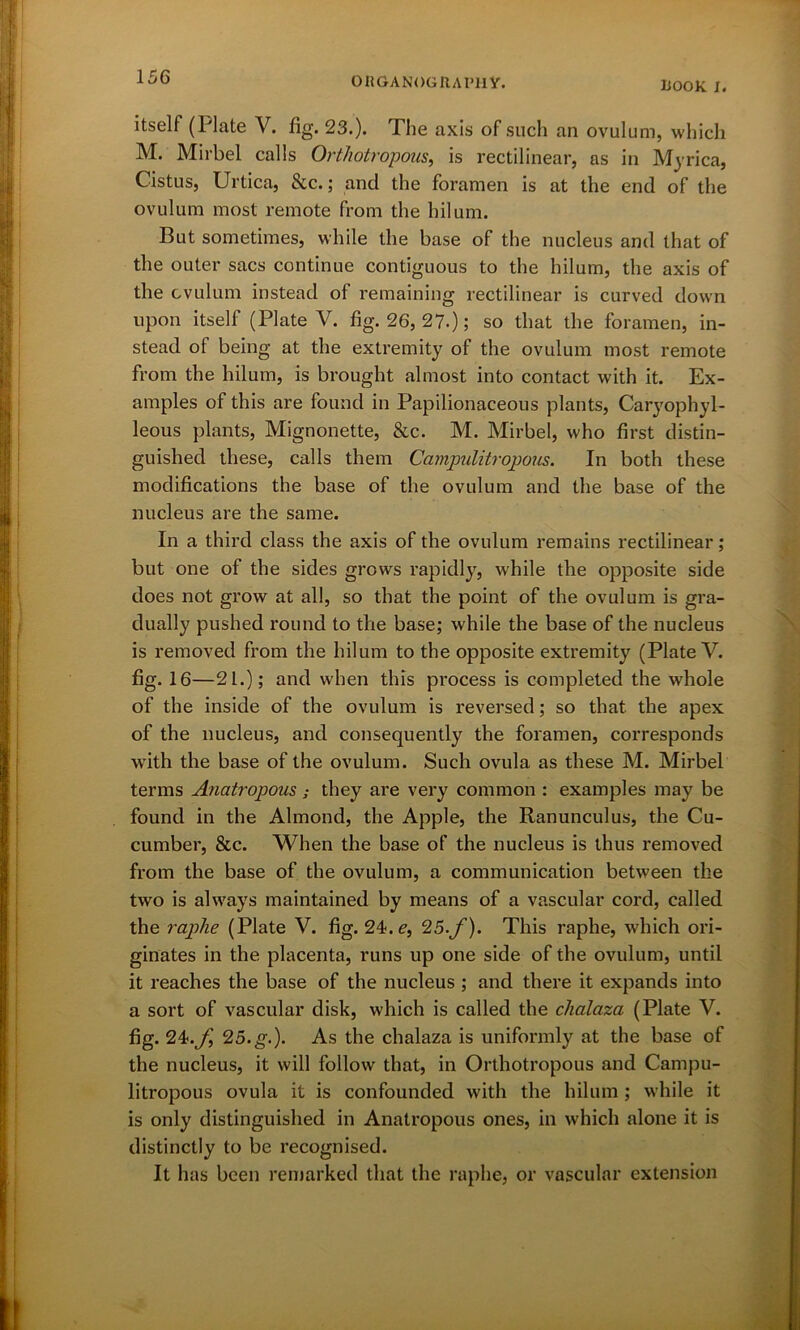 LOOK I. itself (Plate V. fig. 23.). The axis of such an ovulum, which M. Mirbel calls Orthotropous, is rectilinear, as in Myrica, Cistus, Urtica, &c.; and the foramen is at the end of the ovulum most remote from the hilum. But sometimes, while the base of the nucleus and that of the outer sacs continue contiguous to the hilum, the axis of the ovulum instead of remaining rectilinear is curved down upon itself (Plate V. fig. 26, 27.); so that the foramen, in- stead of being at the extremity of the ovulum most remote from the hilum, is brought almost into contact with it. Ex- amples of this are found in Papilionaceous plants, Caryophyl- leous plants, Mignonette, &c. M. Mirbel, who first distin- guished these, calls them Campulitropous. In both these modifications the base of the ovulum and the base of the nucleus are the same. In a third class the axis of the ovulum remains rectilinear; but one of the sides grows rapidly, while the opposite side does not grow at all, so that the point of the ovulum is gra- dually pushed round to the base; while the base of the nucleus is removed from the hilum to the opposite extremity (Plate V. fig. 16—21.); and when this process is completed the whole of the inside of the ovulum is reversed; so that the apex of the nucleus, and consequently the foramen, corresponds with the base of the ovulum. Such ovula as these M. Mirbel terms Anatropous; they are very common : examples may be found in the Almond, the Apple, the Ranunculus, the Cu- cumber, &c. When the base of the nucleus is thus removed from the base of the ovulum, a communication between the two is always maintained by means of a vascular cord, called the raphe (Plate V. fig. 24. e, 25.f). This raphe, which ori- ginates in the placenta, runs up one side of the ovulum, until it reaches the base of the nucleus ; and there it expands into a sort of vascular disk, which is called the chalaza (Plate V. fig. 2k.f 25.g.). As the chalaza is uniformly at the base of the nucleus, it will follow that, in Orthotropous and Campu- litropous ovula it is confounded with the hilum ; while it is only distinguished in Anatropous ones, in which alone it is distinctly to be recognised. It has been remarked that the raphe, or vascular extension