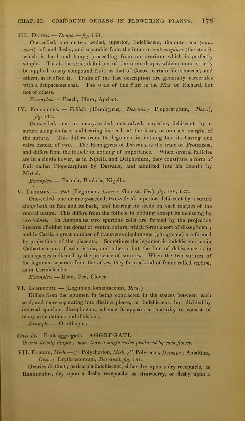 III. Drufa.—Drupe.—fig. 163. One-celled, one or two-seeded, superior, indehiscent, the outer coat [nau- cum) soft and fleshy, and separable from the inner or endocarpium (the stone), which is hard and bony ; proceeding from an ovarium which is perfectly simple. This is the strict definition of the term drupa, which cannot strictly be applied to any compound fruit, as that of Cocos, certain Verbenacea;, and others, as it often is. Fruits of the last description are generally carcerules with a drupaceous coat. The stone of this fruit is the ATux of Richard, but not of others. Examples. — Peach, Plum, Apricot. IV. Folliculus.—Follicle (Hemigyrus, Desvaux; Plopoearpium, Desv.), fg. 140. One-celled, one or many-seeded, one-valved, superior, dehiscent by a suture along its face, and bearing its seeds at the base, or on each margin of the suture. This differs from the legumen in -nothing but its having one valve instead of two. The Hemigyrus of Desvaux is the fruit of Proteaceas, and differs from the follicle in nothing of importance. When several follicles are in a single flower, as in Nigella and Delphinium, they constitute a form of fruit called Plopoearpium by Desvaux, and admitted into his Etaerio by Mirbel. Examples. — Pamnia, Banksia, Nigella. V. Legumen. — Pod (Legumen, Linn.; Gousse, Fr.),fg. 136, 137. One-celled, one or many-seeded, two-valved, superior, dehiscent by a suture along both its face and its back, and bearing its seeds on each margin of the ventral suture. This differs from the follicle in nothing except its dehiscing by two valves. In Astragalus two spurious cells are formed by the projection inwards of either the dorsal or ventral suture, which forms a sort of dissepiment; and in Cassia a great number of transverse diaphragms (phragmata) are formed by projections of the placenta. Sometimes the legumen is indehiscent, as in Cathartocarpus, Cassia fistula, and others; but the line of dehiscence is in such species indicated by the presence of sutures. When the two sutures of the legumen separate from the valves, they form a kind of frame called replum, as in Carmichaelia. Examples. — Bean, Pea, Clover. VI. Lomentum. —(Legumen lomentaceum, Rich.) Differs from the legumen in being contracted in the spaces between each seed, and there separating into distinct pieces, or indehiscent, but divided by internal spurious dissepiments, whence it appears at maturity to consist of many articulations and divisions. Example. — Ornithopus. Class II. Fruit aggregate. AGGREGATI. Ovariu strictly simple; more than a single series produced by each fower. VII. Etjerio, Mirb.— (“ Polychorion, Mirb.; ” Polysecus, Desvaux; Amalthea, Desv.; Erythrostomum, Desvaux),fg. 161. Ovaries distinct; pericarpia indehiscent, either dry upon a dry receptacle, as Ranunculus, dry upon a fleshy receptacle, as strawberry, or fleshy upon a