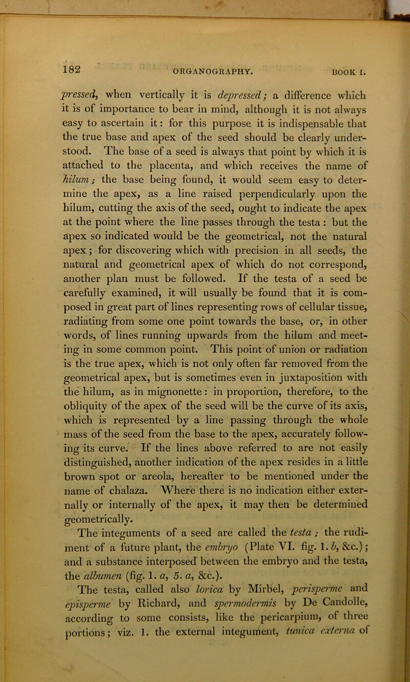 pressed, when vertically it is depressed; a difference which it is of importance to bear in mind, although it is not always easy to ascertain it: for this purpose it is indispensable that the true base and apex of the seed should be clearly under- stood. The base of a seed is always that point by which it is attached to the placenta, and which receives the name of Jiilum} the base being found, it would seem easy to deter- mine the apex, as a line raised perpendicularly upon the hilum, cutting the axis of the seed, ought to indicate the apex at the point where the line passes through the testa : but the apex so indicated would be the geometrical, not the natural apex; for discovering which with precision in all seeds, the natural and geometrical apex of which do not correspond, another plan must be followed. If the testa of a seed be carefully examined, it will usually be found that it is com- posed in great part of lines representing rows of cellular tissue, radiating from some one point towards the base, or, in other words, of lines running upwards from the hilum and meet- ing in some common point. This point of union or radiation is the true apex, which is not only often far removed from the geometrical apex, but is sometimes even in juxtaposition with the hilum, as in mignonette: in proportion, therefore, to the obliquity of the apex of the seed will be the curve of its axis, which is represented by a line passing through the whole mass of the seed from the base to the apex, accurately follow- ing its curve. If the lines above referred to are not easily distinguished, another indication of the apex resides in a little brown spot or areola, hereafter to be mentioned under the name of chalaza. Where there is no indication either exter- nally or internally of the apex, it may then be determined geometrically. The integuments of a seed are called the testa; the rudi- ment of a future plant, the embryo (Plate VI. fig. 1 .b, &c.); and a substance interposed between the embryo and the testa, the albumen (fig. 1. a, 5. a, &c.). The testa, called also lorica by Mirbel, perisperme and episperme by Richard, and spermodermis by De Candolle, according to some consists, like the pericarpium, of three portions; viz. 1. the external integument, tunica externa of