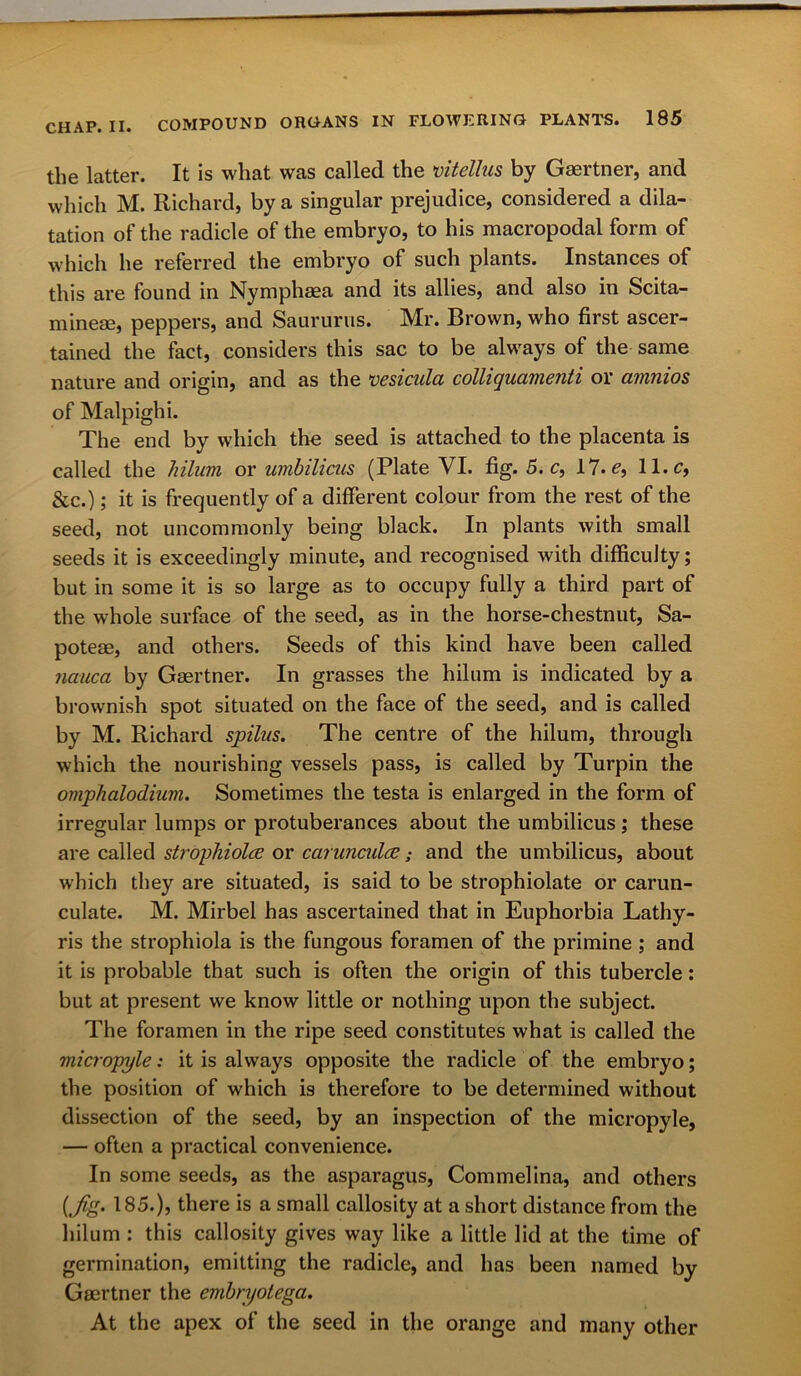 the latter. It is what was called the viteUus by Gaertner, and which M. Richard, by a singular prejudice, considered a dila- tation of the radicle of the embryo, to his macropodal form of which he referred the embryo of such plants. Instances of this are found in Nymphaea and its allies, and also in Scita- mineae, peppers, and Saururus. Mr. Brown, who first ascer- tained the fact, considers this sac to be always of the same nature and origin, and as the vesicula colliquamenti or amnios of Malpighi. The end by which the seed is attached to the placenta is called the hilum or umbilicus (Plate VI. fig. 5. c, 17. c, 11. c, &c.); it is frequently of a different colour from the rest of the seed, not uncommonly being black. In plants with small seeds it is exceedingly minute, and recognised with difficulty; but in some it is so large as to occupy fully a third part of the whole surface of the seed, as in the horse-chestnut, Sa- poteae, and others. Seeds of this kind have been called nauca by Gaertner. In grasses the hilum is indicated by a brownish spot situated on the face of the seed, and is called by M. Richard spilus. The centre of the hilum, through which the nourishing vessels pass, is called by Turpin the omphalodium. Sometimes the testa is enlarged in the form of irregular lumps or protuberances about the umbilicus; these are called strophiolce or carunculcc; and the umbilicus, about which they are situated, is said to be strophiolate or carun- culate. M. Mirbel has ascertained that in Euphorbia Lathy- ris the strophiola is the fungous foramen of the primine ; and it is probable that such is often the origin of this tubercle: but at present we know little or nothing upon the subject. The foramen in the ripe seed constitutes what is called the micropyle: it is always opposite the radicle of the embryo; the position of which is therefore to be determined without dissection of the seed, by an inspection of the micropyle, — often a practical convenience. In some seeds, as the asparagus, Commelina, and others (Jig. 185.), there is a small callosity at a short distance from the hilum : this callosity gives way like a little lid at the time of germination, emitting the radicle, and has been named by Gaertner the embnjotega. At the apex of the seed in the orange and many other
