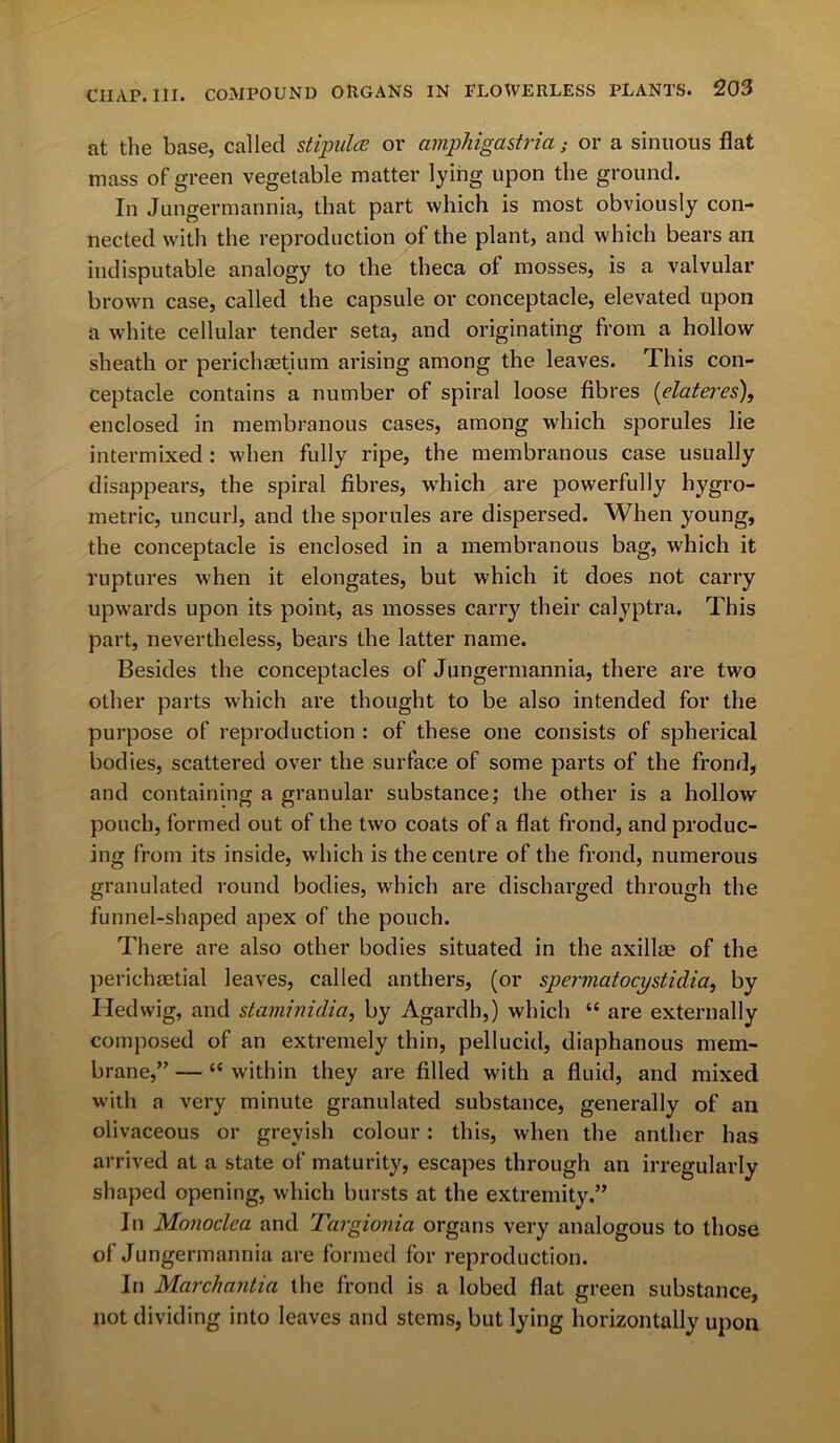 at the base, called stipulce or amphigastria; or a sinuous flat mass of green vegetable matter lying upon the ground. In Jungermannia, that part which is most obviously con- nected with the reproduction of the plant, and which bears an indisputable analogy to the theca of mosses, is a valvular brown case, called the capsule or conceptacle, elevated upon a white cellular tender seta, and originating from a hollow sheath or perichaetium arising among the leaves. This con- ceptacle contains a number of spiral loose fibres (elateres), enclosed in membranous cases, among which sporules lie intermixed: when fully ripe, the membranous case usually disappears, the spiral fibres, which are powerfully hygro- metric, uncurl, and the sporules are dispersed. When young, the conceptacle is enclosed in a membranous bag, which it ruptures when it elongates, but which it does not carry upwards upon its point, as mosses carry their calyptra. This part, nevertheless, bears the latter name. Besides the conceptacles of Jungermannia, there are two other parts which are thought to be also intended for the purpose of reproduction : of these one consists of spherical bodies, scattered over the surface of some parts of the frond, and containing a granular substance; the other is a hollow pouch, formed out of the two coats of a flat frond, and produc- ing from its inside, which is the centre of the frond, numerous granulated round bodies, which are discharged through the funnel-shaped apex of the pouch. There are also other bodies situated in the axilla? of the perichsetial leaves, called anthers, (or spermatocystidia, by Iiedwig, and staminidia, by Agardh,) which “ are externally composed of an extremely thin, pellucid, diaphanous mem- brane,” — “ within they are filled with a fluid, and mixed with a very minute granulated substance, generally of an olivaceous or greyish colour: this, when the anther has arrived at a state of maturity, escapes through an irregularly shaped opening, which bursts at the extremity.” In Monoclea and Targionia organs very analogous to those of Jungermannia are formed for reproduction. In Marchantia the frond is a lobed flat green substance, not dividing into leaves and stems, but lying horizontally upon