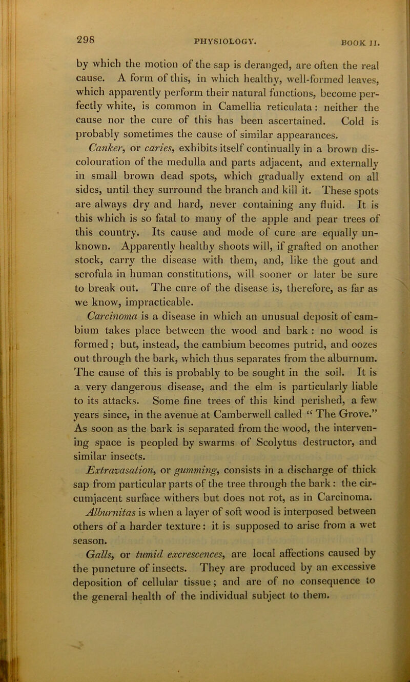 BOOK II. by which the motion of the sap is deranged, are often the real cause. A form of this, in which healthy, well-formed leaves, which apparently perform their natural functions, become per- fectly white, is common in Camellia reticulata: neither the cause nor the cure of this has been ascertained. Cold is probably sometimes the cause of similar appearances. Canker, or caries, exhibits itself continually in a brown dis- colouration of the medulla and parts adjacent, and externally in small brown dead spots, which gradually extend on all sides, until they surround the branch and kill it. These spots are always dry and hard, never containing any fluid. It is this which is so fatal to many of the apple and pear trees of this country. Its cause and mode of cure are equally un- known. Apparently healthy shoots will, if grafted on another stock, carry the disease with them, and, like the gout and scrofula in human constitutions, will sooner or later be sure to break out. The cure of the disease is, therefore, as far as we know, impracticable. Carcinoma is a disease in which an unusual deposit of cam- bium takes place between the wood and bark : no wood is formed ; but, instead, the cambium becomes putrid, and oozes out through the bark, which thus separates from the alburnum. The cause of this is probably to be sought in the soil. It is a very dangerous disease, and the elm is particularly liable to its attacks. Some fine trees of this kind perished, a few years since, in the avenue at Camberwell called <c The Grove.” As soon as the bark is separated from the wood, the interven- ing space is peopled by swarms of Scolytus destructor, and similar insects. Extravasation, or gumming, consists in a discharge of thick sap from particular parts of the tree through the bark: the cir- cumjacent surface withers but does not rot, as in Carcinoma. Alburnitas is when a layer of soft wood is interposed between others of a harder texture: it is supposed to arise from a wet season. Galls, or tumid excrescences, are local affections caused by the puncture of insects. They are produced by an excessive deposition of cellular tissue; and are of no consequence to the general health of the individual subject to them. I!