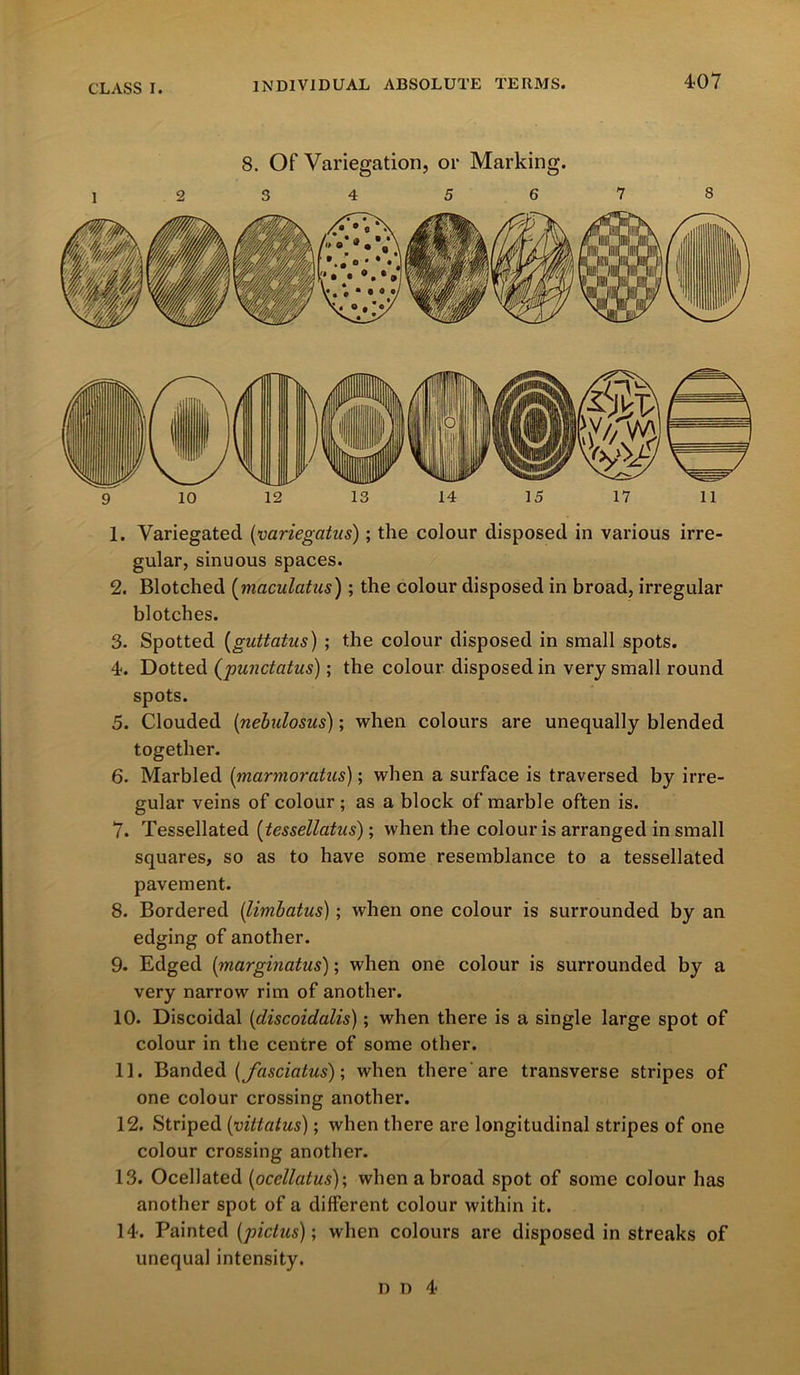 8. Of Variegation, or Marking. 1 2 3 4 5 6 7 8 9 10 12 13 14 15 17 11 1. Variegated (variegatus); the colour disposed in various irre- gular, sinuous spaces. 2. Blotched (maculatus); the colour disposed in broad, irregular blotches. 3. Spotted (guttatus) ; the colour disposed in small spots. 4. Dotted (punctatus); the colour disposed in very small round spots. 5. Clouded (nebulosus); when colours are unequally blended together. 6. Marbled (marmoratus); when a surface is traversed by irre- gular veins of colour ; as a block of marble often is. 7. Tessellated (tessellatus); when the colour is arranged in small squares, so as to have some resemblance to a tessellated pavement. 8. Bordered (limbatus); when one colour is surrounded by an edging of another. 9. Edged (marginatus); when one colour is surrounded by a very narrow rim of another. 10. Discoidal (discoidalis); when there is a single large spot of colour in the centre of some other. 11. Banded (Jcisciatus); when there 'are transverse stripes of one colour crossing another. 12. Striped (vittatus); when there are longitudinal stripes of one colour crossing another. 13. Ocellated (ocellalus); when abroad spot of some colour has another spot of a different colour within it. 14. Painted (pictus); when colours are disposed in streaks of unequal intensity.