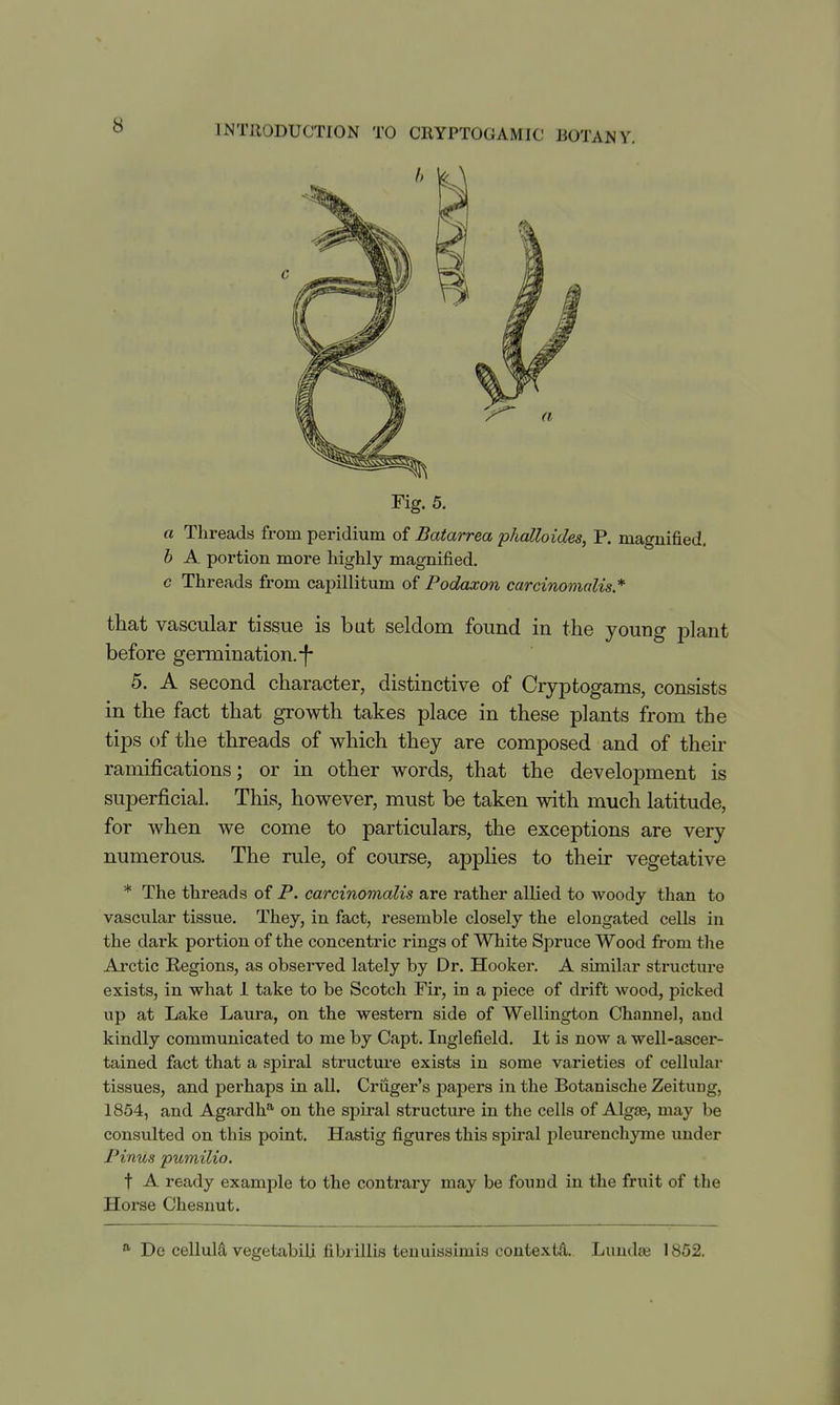 a Threads from peridium of Batarrea phalloides, P. magnified. h A portion more highly magnified. c Threads from capillitum of Podaxon carcinomalis* that vascular tissue is but seldom found in the young plant before germination.-f- 5. A second character, distinctive of Cryptogams, consists in the fact that growth takes place in these plants from the tips of the threads of which they are composed and of their ramifications; or in other words, that the development is superficial. This, however, must be taken with much latitude, for when we come to particulars, the exceptions are very numerous. The rule, of course, applies to their vegetative * The threads of P. carcinomalis are rather allied to woody than to vascular tissue. They, in fact, resemble closely the elongated cells in the dark portion of the concentric rings of White Spruce Wood from the Arctic Eegions, as observed lately by Dr. Hooker. A similar structure exists, in what 1 take to be Scotch Fir, in a piece of drift wood, picked up at Lake Laura, on the western side of Wellington Channel, and kindly communicated to me by Capt. Inglefield. It is now a well-ascer- tained fact that a spiral structure exists in some varieties of cellular tissues, and perhaps in all. Cruger's papers in the Botanische Zeitung, 1854, and Agardh*^ on the spiral structure in the cells of Algae, may be consulted on this point. Hastig figures this spii'al pleurenchyme under Pinus pumilio. t A ready example to the contrary may be found in the fruit of the Horse Chesuut. °' De celluld vegetabili fibrillis ten uissimis contexts. Lundse 1852.