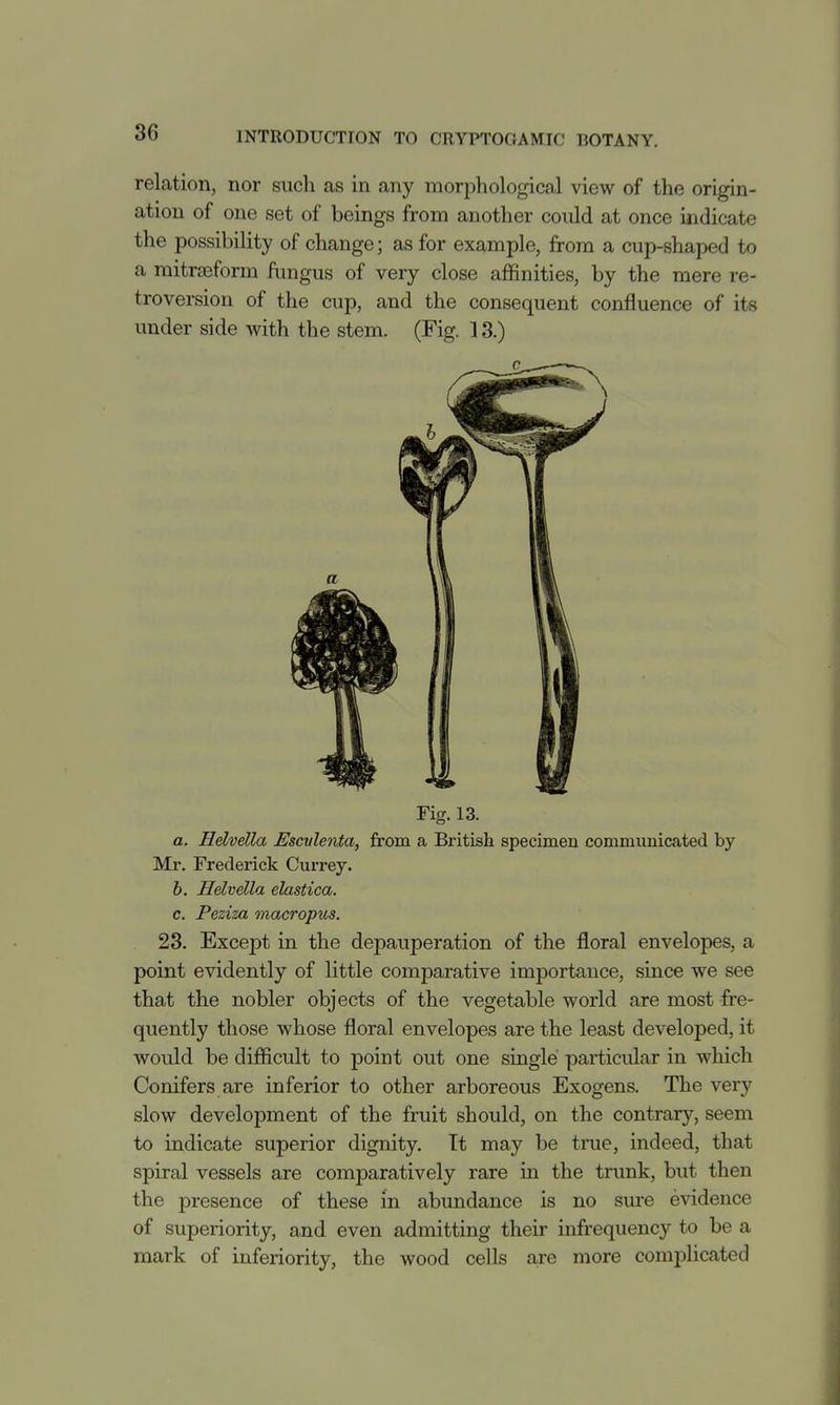 relation, nor such as in any morphological view of the origin- ation of one set of beings from another could at once indicate the possibility of change; as for example, from a cup-shaped to a mitrteform fungus of very close affinities, by the mere re- troversion of the cup, and the consequent confluence of its under side with the stem. (Fig. ] 3.) Fig. 13. a. Helvella Esculenta, from a British specimen communicated by Mr. Frederick Currey. h. Helvella elastica. c. Peziza macropus. 23. Except in the depauperation of the floral envelopes, a point evidently of little comparative importance, since we see that the nobler objects of the vegetable world are most fre- quently those whose floral envelopes are the least developed, it would be difficult to point out one single particular in which Conifers are inferior to other arboreous Exogens. The very slow development of the fruit should, on the contrary, seem to indicate superior dignity. Tt may be true, indeed, that spiral vessels are comparatively rare in the trunk, but then the presence of these in abundance is no sure evidence of superiority, and even admitting their infrequency to be a mark of inferiority, the wood cells are more complicated