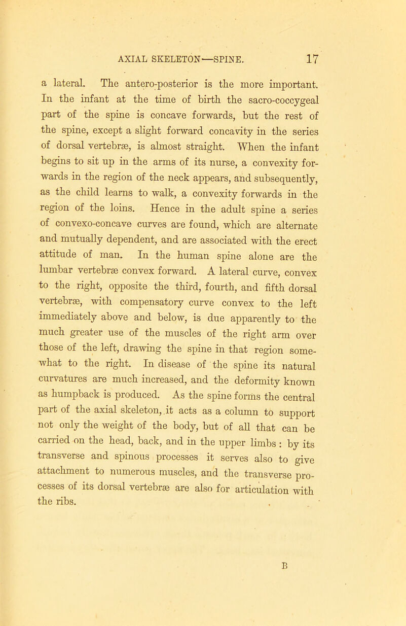 a lateral. The antero-posterior is the more important. In the infant at the time of birth the sacro-coccygeal part of the spine is concave forwards, but the rest of the spine, except a slight forward concavity in the series of dorsal vertebrae, is almost straight. When the infant begins to sit up in the arms of its nurse, a convexity for- wards in the region of the neck appears, and subsequently, as the child learns to walk, a convexity forwards in the region of the loins. Hence in the adult spine a series of convexo-concave curves are found, which are alternate and mutually dependent, and are associated with the erect attitude of man. In the human spine alone are the lumbar vertebrae convex forward. A lateral curve, convex to the right, opposite the third, fourth, and fifth dorsal vertebrae, with compensatory curve convex to the left immediately above and below, is due apparently to the much greater use of the muscles of the right arm over those of the left, drawing the spine in that region some- what to the right. In disease of the spine its natural curvatures are much increased, and the deformity known as humpback is produced. As the spine forms the central part of the axial skeleton, .it acts as a column to support not only the weight of the body, but of all that can be carried on the head, back, and in the upper limbs : by its transverse and spinous processes it serves also to give attachment to numerous muscles, and the transverse pro- cesses of its dorsal vertebra are also for articulation with the ribs. B