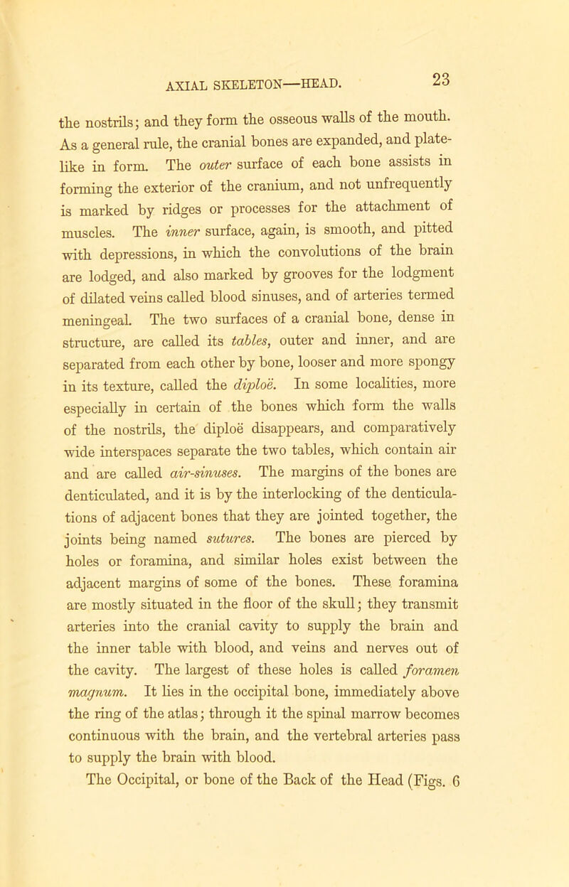 the nostrils; and they form the osseous walls of the mouth. As a general rule, the cranial bones are expanded, and plate- like in form. The outer surface of each bone assists in forming the exterior of the cranium, and not unfrequently is marked by ridges or processes for the attachment of muscles. The inner surface, again, is smooth, and pitted with depressions, in which the convolutions of the brain are lodged, and also marked by grooves for the lodgment of dilated veins called blood sinuses, and of arteries termed meningeal. The two surfaces of a cranial bone, dense in structure, are called its tables, outer and inner, and are separated from each other by bone, looser and more spongy in its texture, called the diploe. In some localities, more especially in certain of the bones which form the walls of the nostrils, the diploe disappears, and comparatively wide interspaces separate the two tables, which contain air and are called air-sinuses. The margins of the bones are denticulated, and it is by the interlocking of the denticula- tions of adjacent bones that they are jointed together, the joints being named sutures. The bones are pierced by holes or foramina, and similar holes exist between the adjacent margins of some of the bones. These, foramina are mostly situated in the floor of the skull; they transmit arteries into the cranial cavity to supply the brain and the inner table with blood, and veins and nerves out of the cavity. The largest of these holes is called foramen mayyium. It lies in the occipital bone, immediately above the ring of the atlas; through it the spinal marrow becomes continuous with the brain, and the vertebral arteries pass to supply the brain with blood. The Occipital, or bone of the Back of the Head (Figs. 6