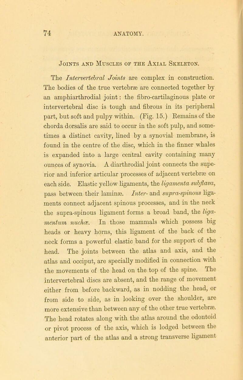 Joints and Muscles of the Axial Skeleton. The Intervertebral Joints are complex in construction. The bodies of the true vertebrae are connected together by an amphiarthrodial joint: the fibro-cartilaginous plate or intervertebral disc is tough and fibrous in its peripheral part, but soft and pulpy within. (Fig. 15.) Remains of the chorda dorsalis are said to occur in the soft pulp, and some- times a distinct cavity, lined by a synovial membrane, is found in the centre of the disc, which in the finner whales is expanded into a large central cavity containing many ounces of synovia. A diarthrodial joint connects the supe- rior and inferior articular processes of adjacent vertebrae on each side. Elastic yellow ligaments, the ligamenta subjlava, pass between their laminae. Inter- and supra-spinous liga- ments connect adjacent spinous processes, and in the neck the supra-spinous ligament forms a broad band, the liga- mentum nuchoe. In those mammals which possess big heads or heavy horns, this ligament of the back of the neck forms a powerful elastic band for the support of the head. The joints between the atlas and axis, and the atlas and occiput, are specially modified in connection with the movements of the head on the top of the spine. The intervertebral discs are absent, and the range of movement either from before backward, as in nodding the head, or from side to side, as in looking over the shoulder, are more extensive than between any of the other true vertebrae The head rotates along with the atlas around the odontoid or pivot process of the axis, which is lodged between the anterior part of the atlas and a strong transverse ligament