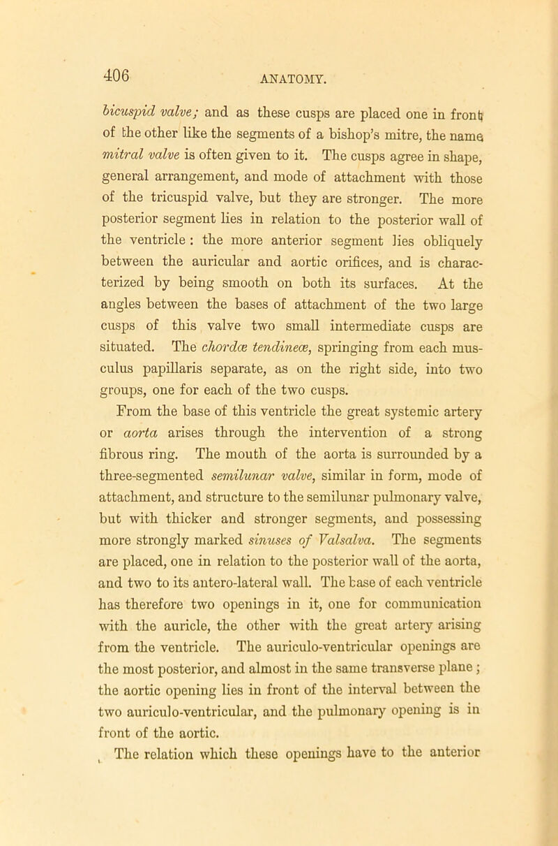 bicuspid valve; and as these cusps are placed one in front} of the other like the segments of a bishop’s mitre, the name mitral valve is often given to it. The cusps agree in shape, general arrangement, and mode of attachment with those of the tricuspid valve, but they are stronger. The more posterior segment lies in relation to the posterior wall of the ventricle : the more anterior segment lies obliquely between the auricular and aortic orifices, and is charac- terized by being smooth on both its surfaces. At the angles between the bases of attachment of the two large cusps of this valve two small intermediate cusps are situated. The chordce tendinece, springing from each mus- culus papillaris separate, as on the right side, into two groups, one for each of the two cusps. From the base of this ventricle the great systemic artery or aorta arises through the intervention of a strong fibrous ring. The mouth of the aorta is surrounded by a three-segmented semilunar valve, similar in form, mode of attachment, and structure to the semilunar pulmonary valve, but with thicker and stronger segments, and possessing more strongly marked sinuses of Valsalva. The segments are placed, one in relation to the posterior wall of the aorta, and two to its autero-lateral wall. The base of each ventricle has therefore two openings in it, one for communication with the auricle, the other with the great artery arising from the ventricle. The auriculo-ventricular openings are the most posterior, and almost in the same transverse plane; the aortic opening lies in front of the interval between the two auriculo-ventricular, and the pulmonary opening is in front of the aortic. ^ The relation which these openings have to the anterior