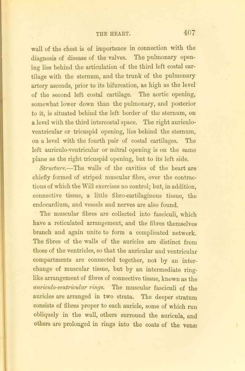wall of tlie chest is of importance in connection with the diagnosis of disease of the valves. The pulmonary open- ing lies behind the articulation of the third left costal car- tilage with the sternum, and the trunk of the pulmonary artery ascends, prior to its bifurcation, as high as the level of the second left costal cartilage. The aortic opening, somewhat lower down than the pulmonary, and posterior to it, is situated behind the left border of the sternum, on a level with the third intercostal space. The right auriculo- ventricular or tricuspid opening, lies behind the sternum, on a level with the fourth pair of costal cartilages. The left auriculo-ventricular or mitral opening is on the same plane as the right tricuspid opening, but to its left side. Structure.—The walls of the cavities of the heart are chiefly formed of striped muscular fibre, over the contrac- tions of which the Will exercises no control; but, in addition, connective tissue, a little fibro-cartilaginous tissue, the endocardium, and vessels and nerves are also found. The muscular fibres are collected into fasciculi, which have a reticulated arrangement, and the fibres themselves branch and again unite to form a complicated network. The fibres of the walls of the auricles are distinct from those of the ventricles, so that the auricular and ventricular compartments are connected together, not by an inter- change of muscular tissue, but by an intermediate ring- like arrangement of fibres of connective tissue, known as the auriculo^entricular rings. The muscular fasciculi of the auricles are arranged in two strata. The deeper stratum consists of fibres proper to each auricle, some of which run obliquely in the wall, others surround the auricula, and others are prolonged in rings into the coats of the vense
