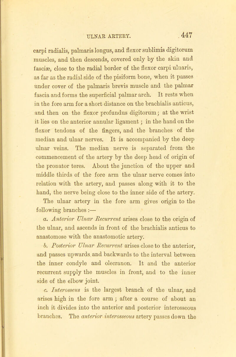 carpi radialis, palmaris longus, and flexor sublimis digitorum muscles, and then descends, covered only by the skin and fasciae, close to the radial border of the flexor carpi ulnaris, as far as the radial side of the pisiform bone, when it passes under cover of the palmaris brevis muscle and the palmar fascia and forms the superficial palmar arch. It rests when in the fore arm for a short distance on the brachialis anticus, and then on the flexor profundus digitorum; at the wrist it lies on the anterior annular ligament; in the hand on the flexor tendons of the fingers, and the branches of the median and ulnar nerves. It is accompanied by the deep ulnar veins. The median nerve is separated from the commencement of the artery by the deep head of origin of the pronator teres. About the junction of the upper and middle thirds of the fore arm the ulnar nerve comes into relation with the artery, and passes along with it to the hand, the nerve being close to the inner side of the artery. The ulnar artery in the fore arm gives origin to the following branches;— a. Anterior Ulnar Recurrent arises close to the origin of the ulnar, and ascends in front of the brachialis anticus to anastomose with the anastomotic artery. h. Posterior Ulnar Recurrent arises close to the anterior, and passes upwards, and backwards to the interval between the inner condyle and olecranon. It and the anterior recurrent supply the muscles in front, and to the inner side of the elbow joint. c. Interosseus is the largest branch of the ulnar, and arises high in the fore arm; after a course of about an inch it divides into the anterior and posterior interosseous branches. The anterior interosseous artery passes down the