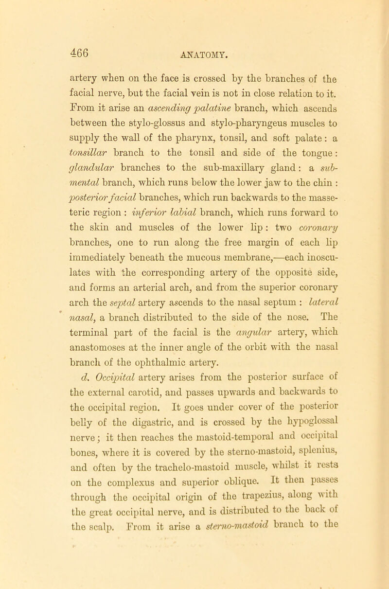artery when on the face is crossed by the branches of the facial nerve, but the facial vein is not in close relation to it. From it arise an ascending palatine branch, which ascends between the stylo-glossus and stylo-pharyngeus muscles to supply the wall of the pharynx, tonsil, and soft palate: a tonsillar branch to the tonsil and side of the tongue: glandular branches to the sub-maxillary gland: a suh- mental branch, which runs below the lower jaw to the chin : posterior facial branches, which run backwards to the masse- teric region : inferior labial branch, which runs forward to the skin and muscles of the lower lip: two coronary branches, one to run along the free margin of each lip immediately beneath the mucous membrane,—each inoscu- lates with the corresponding artery of the opposite side, and forms an arterial arch, and from the superior coronary arch the septal artery ascends to the nasal septum : lateral nasal, a branch distributed to the side of the nose. The terminal part of the facial is the angular artery, which anastomoses at the inner angle of the orbit with the nasal branch of the ophthalmic artery. d. Occipital artery arises from the posterior surface of the external carotid, and passes upwards and backwards to the occipital region. It goes under cover of the posterior belly of the digastric, and is crossed by the hypoglossal nerve; it then reaches the mastoid-temporal and occipital bones, where it is covered by the sterno-mastoid, splenius, and often by the trachelo-mastoid muscle, whilst it rests on the complexus and superior oblique. It then passes through the occipital origin of the trapezius, along with the great occipital nerve, and is distributed to the back of the scalj). From it arise a stei'iio-niastoid branch to the