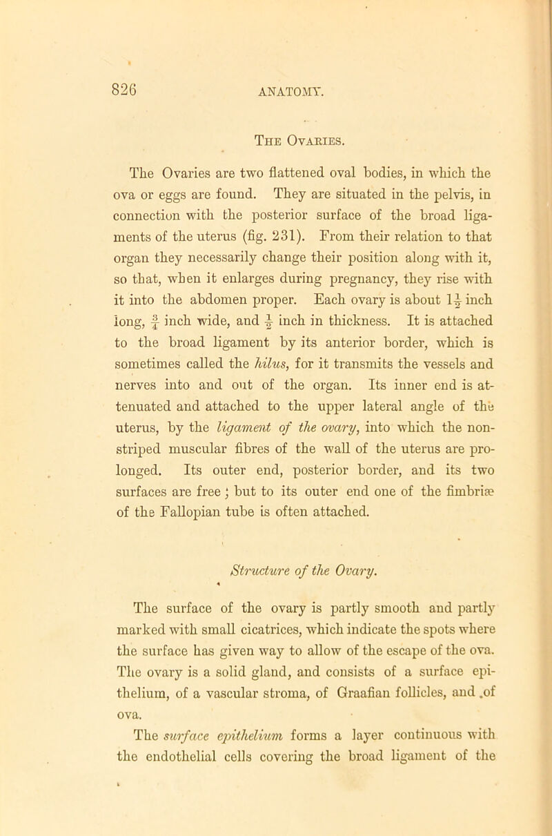 The Ovaries. The Ovaries are two flattened oval bodies, in which the ova or eggs are found. They are situated in the pelvis, in connection with the posterior surface of the broad liga- ments of the uterus (fig. 231). From their relation to that organ they necessarily change their position along with it, so that, when it enlarges during pregnancy, they rise with it into the abdomen proper. Each ovary is about 1|- inch long, f inch wide, and ^ inch in thickness. It is attached to the broad ligament by its anterior border, which is sometimes called the hilus, for it transmits the vessels and nerves into and out of the organ. Its inner end is at- tenuated and attached to the upper lateral angle of the uterus, by the ligament of the ovary, into which the non- striped muscular fibres of the wall of the uterus are pro- longed. Its outer end, posterior border, and its two surfaces are free; but to its outer end one of the fimbrite of the Fallopian tube is often attached. Structure of the Ovary. 4 The surface of the ovary is partly smooth and partly marked with small cicatrices, which indicate the spots where the surface has given way to allow of the escape of the ova. The ovary is a solid gland, and consists of a surface epi- thelium, of a vascular stroma, of Graafian follicles, and .of ova. The surface ejnthelium forms a layer continuous with the endothelial cells covering the broad ligament of the