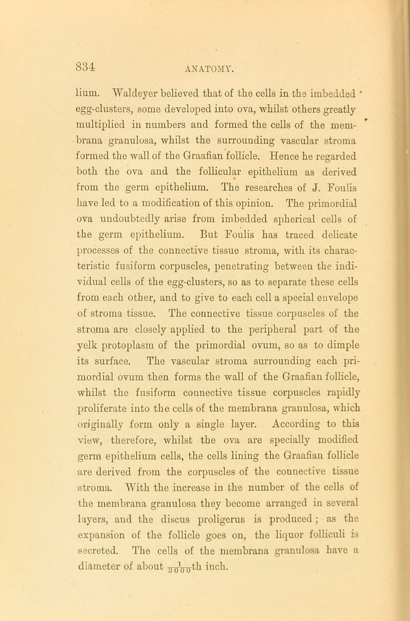 liutn. Waldeyer believed that of the cells in the imbedded ' egg-clusters, some developed into ova, whilst others greatly- multiplied in numbers and formed the cells of the mem- brana granulosa, whilst the surrounding vascular stroma formed the wall of the Graafian follicle. Hence he regarded both the ova and the follicular epithelium as derived from the germ epithelium. The researches of J. Foulis have led to a modification of this opinion. The primordial ova undoubtedly arise from imbedded spherical cells of the germ epithelium. But Foulis has traced delicate processes of the connective tissue stroma, with its charac- teristic fusiform corpuscles, penetrating between the indi- vidual cells of the egg-clusters, so as to separate these cells from each other, and to give to each cell a special envelope of stroma tissue. The connective tissue corpuscles of the stroma are closely applied to the peripheral part of the yelk protoplasm of the primordial ovum, so as to dimple its surface. The vascular stroma surrounding each pri- mordial ovum then forms the wall of the Graafian foUicle, whilst the fusiform connective tissue corpuscles rapidly proliferate into the cells of the membrana granulosa, which originally form only a single layer. According to this view, therefore, whilst the ova are specially modified germ epithelium cells, the cells lining the Graafian follicle are derived from the corpuscles of the connective tissue stroma. With the increase in the number of the cells of the membrana granulosa they become arranged in several layers, and the discus proligerus is produced; as the expansion of the follicle goes on, the liquor folliculi is secreted. The cells of the membrana granulosa have a diameter of about ^o^ooth inch.