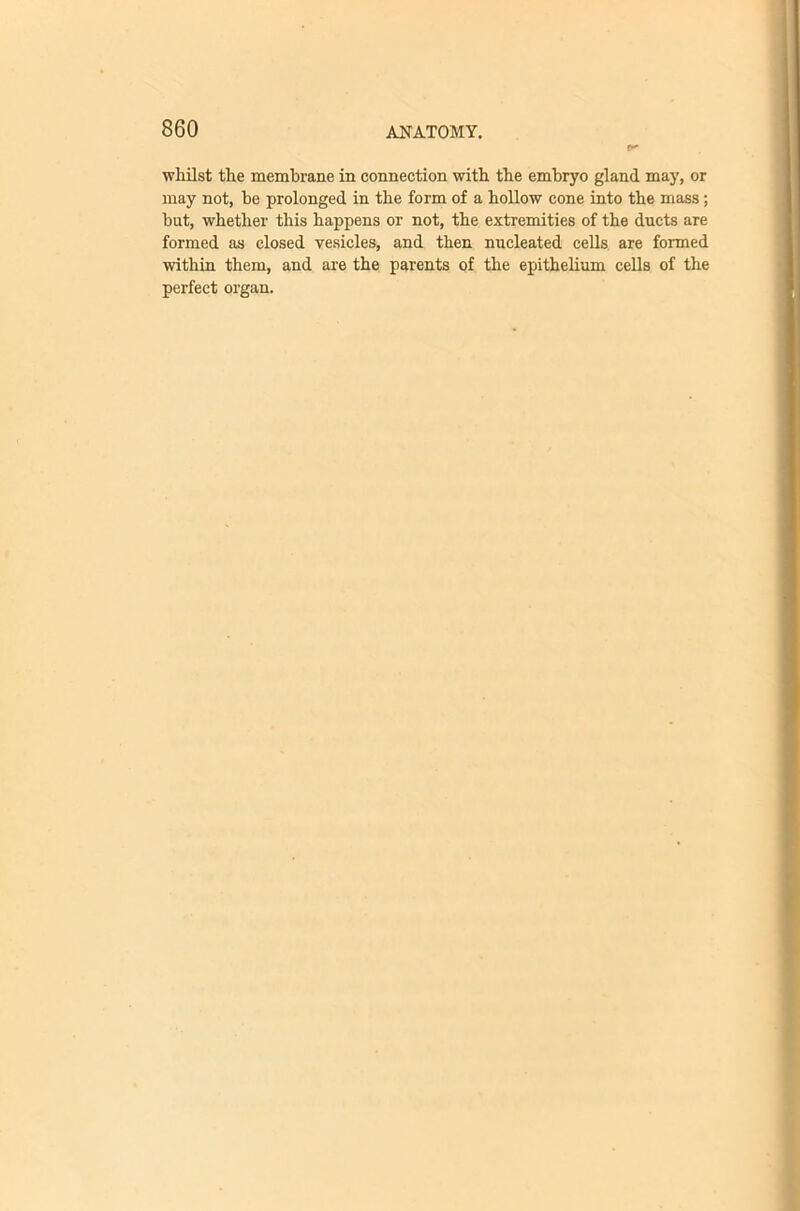 whilst the membrane in connection with the embryo gland may, or may not, be prolonged in the form of a hollow cone into the mass; hut, whether this happens or not, the extremities of the duets are formed as closed vesicles, and then nucleated cells are formed within them, and are the parents of the epithelium cells of the perfect organ.