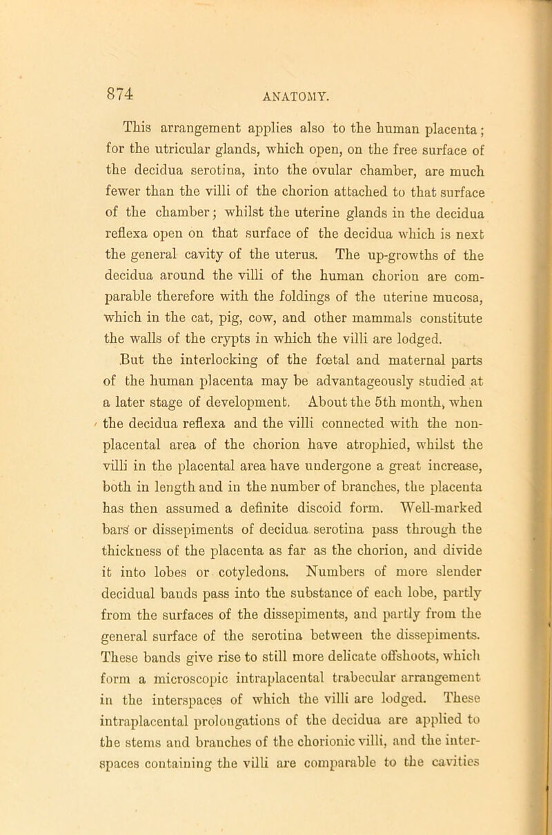 This arrangement applies also to the human placenta; for the utricular glands, which open, on the free surface of the decidua serotina, into the ovular chamber, are much fewer than the villi of the chorion attached to that surface of the chamber; whilst the uterine glands in the decidua reflexa open on that surface of the decidua which is next the general cavity of the uterus. The up-growths of the decidua around the villi of the human chorion are com- parable therefore with the foldings of the uterine mucosa, which in the cat, pig, cow, and other mammals constitute the walls of the crypts in which the villi are lodged. But the interlocking of the foetal and maternal parts of the human placenta may be advantageously studied at a later stage of development. About the 5th month, when / the decidua reflexa and the villi connected with the non- placental area of the chorion have atrophied, whilst the vQli in the placental area have undergone a great increase, both in length and in the number of branches, the placenta has then assumed a definite discoid form. Well-marked bars or dissepiments of decidua serotina pass through the thickness of the placenta as far as the chorion, and divide it into lobes or cotyledons. Numbers of more slender decidual bauds pass into the substance of each lobe, partly from the surfaces of the dissepiments, and partly from the general surface of the serotina between the dissepiments. These bands give rise to still more delicate offshoots, which form a microscopic intraplacental trabecular arrangement in the interspaces of which the villi are lodged. These intraplacental prolongations of the decidua are a2)plied to the stems and branches of the chorionic villi, and the inter- spaces containing the villi are comparable to the cavities