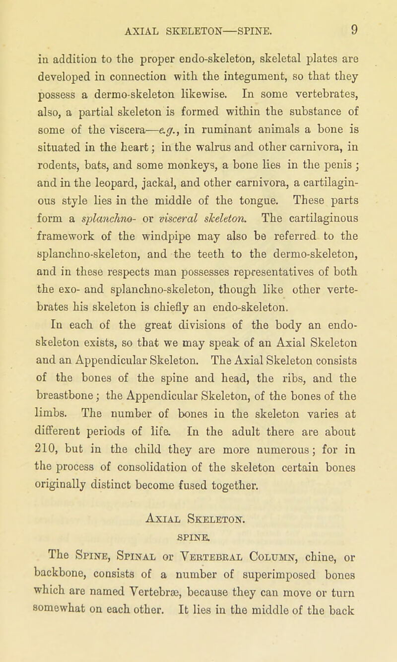 iu addition to the proper endo-skeleton, skeletal plates are developed in connection with the integument, so that they possess a dermo-skeleton likewise. In some vertebrates, also, a partial skeleton is formed within the substance of some of the viscera—e.g., in ruminant animals a bone is situated in the heart; in the walrus and other carnivora, in rodents, bats, and some monkeys, a bone lies in the penis ; and in the leopard, jackal, and other carnivora, a cartilagin- ous style lies in the middle of the tongue. These parts form a splanchno- or visceral skeleton. The cartilaginous framework of the windpipe may also be referred to the splanchno-skeleton, and the teeth to the dermo-skeleton, and in these respects man possesses representatives of both the exo- and splanchno-skeleton, though like other verte- brates his skeleton is chiefly an endo-skeleton. In each of the great divisions of the body an endo- skeleton exists, so that we may speak of an Axial Skeleton and an Appendicular Skeleton. The Axial Skeleton consists of the bones of the spine and head, the ribs, and the breastbone; the Appendicular Skeleton, of the bones of the limbs. The number of bones in the skeleton varies at different periods of life. In the adult there are about 210, but in the child they are more numerous; for in the process of consolidation of the skeleton certain bones originally distinct become fused together. Axial Skeleton, spine. The Spine, Spinal or Vertebral Column, chine, or backbone, consists of a number of superimposed bones which are named Vertebrae, because they can move or turn somewhat on each other. It lies in the middle of the back
