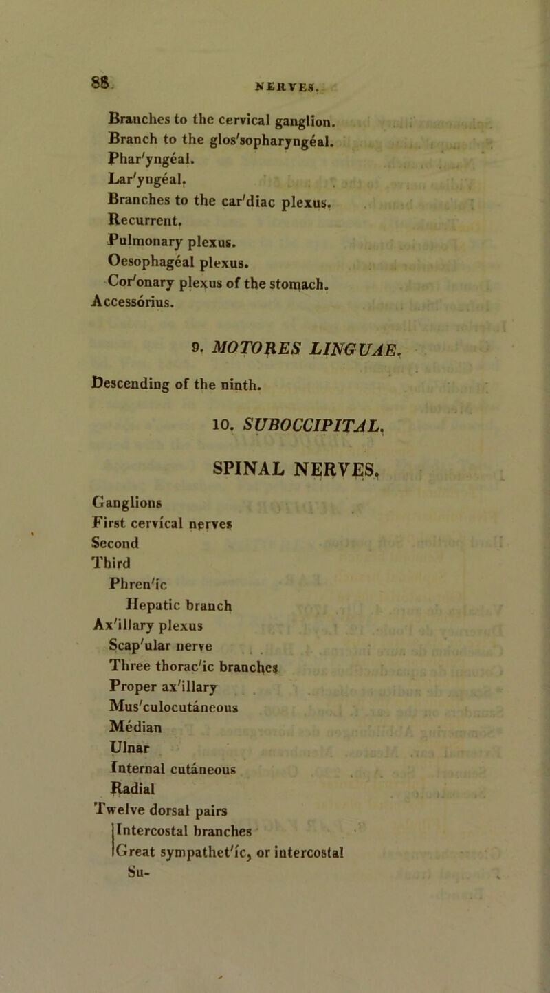 8S Brandies to the cervical ganglion. Branch to the glos'sopharyngeal. Phar'yngeal. Lar'yngeal. Branches to the cardiac plexus. Recurrent. Pulmonary plexus. Oesophageal plexus. Cor'onary plexus of the stomach. Accessorius. 9, MOTORES LINGUAE Descending of the ninth. 10. SUBOCCIPITAL. SPINAL NERVES, Ganglions First cervical nprves Second Third Phrenic Hepatic branch Axillary plexus Scap'ular nerve Three thoracic branches Proper axillary Mus'culocutaneous Median Ulnar Internal cutaneous Radial Twelve dorsal pairs Intercostal branches Great sympathetic, or intercostal Su-