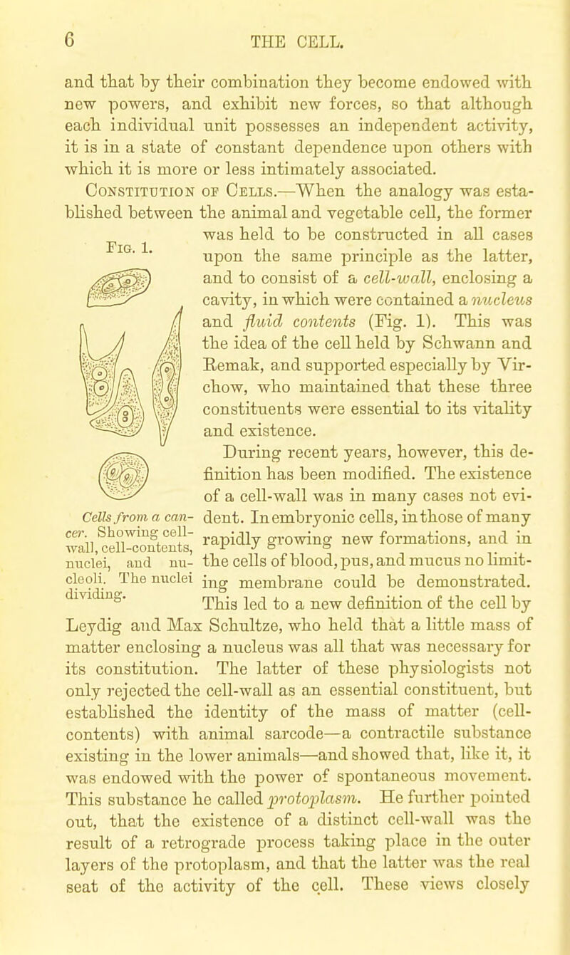 and that by their combination they become endowed vnth new powers, and exhibit new forces, so that although each individual unit possesses an independent activity, it is in a state of constant dependence upon others with which it is more or less intimately associated. OoNSTiTTJTiON OF Oells.—When the analogy was esta- blished between the animal and vegetable cell, the former was held to be constructed in all cases ■upon the same principle as the latter, and to consist of a cell-wall, enclosing a cavity, in which were contained a nucleihs and fluid contents (Fig. 1). This was Eemak, and supported especially by Vir- chow, who maintained that these three constituents were essential to its vitality and existence. During recent years, however, this de- finition has been modified. The existence of a cell-wall was in many cases not evi- Cellsfrom a can- dent. In embryonic cells, in those of many wail, cKon'te^S; ^^^^^^J S^o^^S new formations, and in nuclei, and nu- the cells of blood, pus, and mucus no limit- cleoli. The nuclei membrane could be demonstrated, dividing. This led to a new definition of the cell by Leydig and Max Schultze, who held that a little mass of matter enclosing a nucleus was all that was necessaiy for its constitution. The latter of these physiologists not only rejected the cell-wall as an essential constituent, but established the identity of the mass of matter (cell- contents) with animal sarcode—a contractile substance existing in the lower animals—and showed that, like it, it was endowed with the power of spontaneous movement. This substance he called protoplasm. He further pointed out, that the existence of a distinct cell-wall was the result of a retrograde process taking place in the outer layers of the protoplasm, and that the latter was the real seat of the activity of the cell. These views closely Fig. 1.