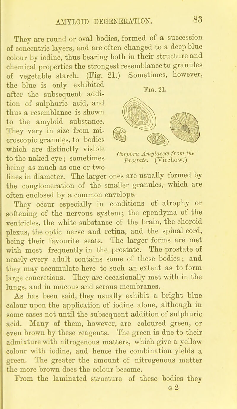 They are round or oval bodies, formed of a succession of concentric layers, and are often changed to a deep blue colour by iodine, thus bearing both in their structure and chemical properties the strongest resemblance to granules of vegetable starch. (Fig. 21.) Sometimes, however, the blue is only exhibited after the subsequent addi- tion of sulphuric acid, and thus a resemblance is shown to the amyloid substance. They vary in size from mi- croscopic granules, to bodies which are distinctly visible to the naked eye; sometimes being as much as one or two lines in diameter. The larger ones are usually formed by the conglomeration of the smaller granules, which are often enclosed by a common envelope. They occur especially in conditions of atrophy or softening of the nervous system; the ependyma of the ventricles, the white substance of the brain, the choroid plexus, the optic nerve and retina, and the spinal cord, being their favourite seats. The larger forms are met with most freqiiently in the prostate. The prostate of nearly every adult contains some of these bodies ; and they may accumulate here to such an extent as to form large concretions. They are occasionally met with in the lungs, and in mucous and serous membranes. As has been said, they usually exhibit a bright blue colour upon the application of iodine alone, although in some cases not until the subsequent addition of sulphuric acid. Many of them, however, are coloured green, or even brown by these reagents. The green is due to their admixture with nitrogenous matters, which give a yellow colour with iodine, and hence the combination yields a green. The greater the amount of nitrogenous matter the more brown does the colour become. From the laminated structure of these bodies they g2 Fig. 21. Corjmra Amylacem from the Prostate. (Virchow.)