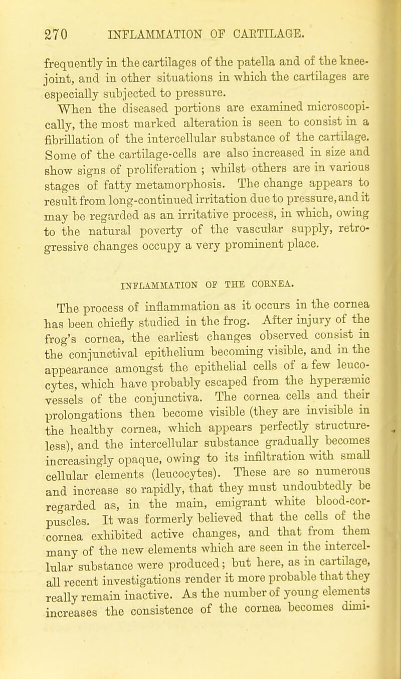 frequently in the cartilages of the patella and of the knee- joint, and in other situations in which the cartilages are especially subjected to pressure. When the diseased portions are examined microscopi- cally, the most marked alteration is seen to consist in a fibrillation of the intercellular substance of the cartilage. Some of the cartilage-cells are also increased in size and show signs of proliferation ; whilst others are in various stages of fatty metamorphosis. The change appears to result from long-continued irritation due to pressure, and it may be regarded as an irritative process, in which, owing to the natural poverty of the vascular supply, retro- gressive changes occupy a very prominent place. INFLAMMATION OF THE COENEA. The process of inflammation as it occurs in the cornea has been chiefly studied in the frog. After injury of the frog's cornea, the earliest changes observed consist in the conjunctival epithehum becoming visible, and in the appearance amongst the epitheUal cells of a few leuco- cytes, which have probably escaped from the hyper^mic vessels of the conjunctiva. The cornea cells and their prolongations then become visible (they are invisible in the healthy cornea, which appears perfectly structure- less), and the intercellular substance gradually^ becomes increasingly opaque, owing to its infiltration with small cellular elements (leucocytes). These are so numerous and increase so rapidly, that they must undoubtedly be regarded as, in the main, emigrant white blood-cor- puscles. It was formerly believed that the cells of the cornea exhibited active changes, and that from them many of the new elements which are seen in the intercel- lular substance were produced; but here, as in cartilage, all recent investigations render it more probable that they really remain inactive. As the number of young elements increases the consistence of the cornea becomes dimi-