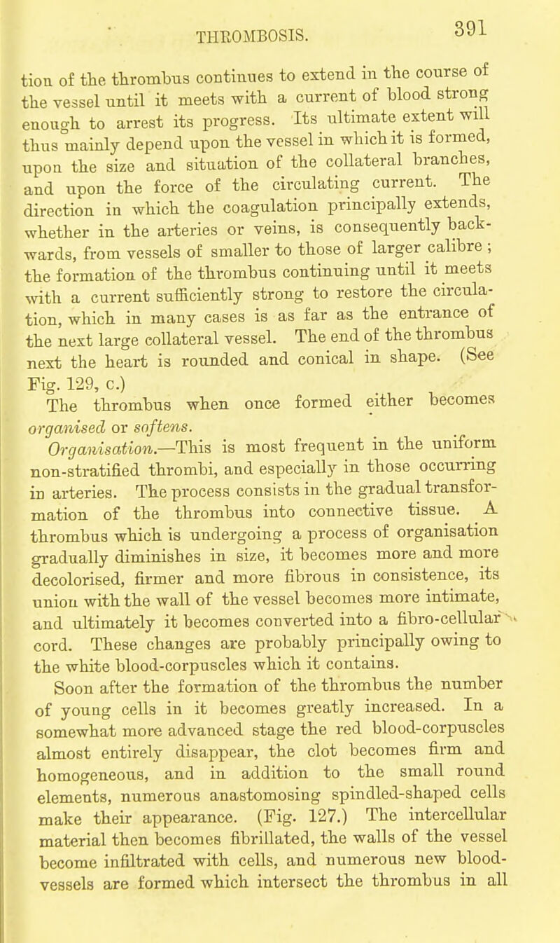 tion of the thrombus continues to extend in the course of the vessel until it meets with a current of blood strong enough to arrest its progress. Its ultimate extent will thus mainly depend upon the vessel in which it is formed, upon the size and situation of the collateral branches, and upon the force of the circulating current. The direction in which the coagulation principally extends, whether in the arteries or veins, is consequently back- wards, from vessels of smaller to those of larger calibre ; the formation of the thrombus continuing until it meets with a current sufficiently strong to restore the circula- tion, which in many cases is as far as the entrance of the next large collateral vessel. The end of the thrombus next the heart is rounded and conical in shape. (See Fig. 129, c.) The thrombus when once formed either becomes organised or softens. Organisation—This is most frequent in the uniform non-stratified thrombi, and especially in those occurring in arteries. The process consists in the gradual transfor- mation of the thrombus into connective tissue. A thrombus which is undergoing a process of organisation gradually diminishes in size, it becomes more and more decolorised, firmer and more fibrous in consistence, its union with the wall of the vessel becomes more intimate, and ultimately it becomes converted into a fibro-cellulaf ^v cord. These changes are probably principally owing to the white blood-corpuscles which it contains. Soon after the formation of the thrombus the number of youag cells in it becomes greatly increased. In a somewhat more advanced stage the red blood-corpuscles almost entirely disappear, the clot becomes firm and homogeneous, and in addition to the small round elements, numerous anastomosing spindled-shaped cells make their appearance. (Fig. 127.) The intercellular material then becomes fibrillated, the walls of the vessel become infiltrated with cells, and numerous new blood- vessels are formed which intersect the thrombus in all