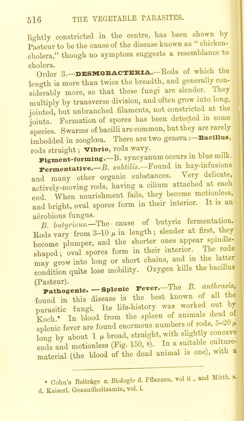 ligMly constricted in the centre, has been shown by Pasteur to be the cause of the disease known as  chicken- cholera, though no symptom suggests a resemblance to cholera. , ■ . j.u Order 3.—desmobacteria.—Eods of which the length is more than twice the breadth, and generally con- siderably more, so that these fungi are slender. They multiply by transverse division, and often grow into long, jointed, but unbranched filaments, not constricted at the joints. Formation of spores has been detected in some species. Swarms of bacilli are common, but th ey are rarely imbedded in zoogloea. There are two genera :-Bacillus, rods straight; Vibrio, rods wavy. Pigment-forming.—B. syncyanum occurs m blue milk, rermentative.—5. suMilis.—Found, in hay-mfusions and many other organic substances. Very delicate actively-moving rods, having a ciliam attached at each end When nourishment fails, they become motionless, and bright, oval spores form in their interior. It is an aerobious fungus. _ B hutyricus.—T^he- cause of butync fermentation. Eodsvary from 3-10 ^ in length; slender at first, they become plumper, and the shorter ones appear spindle- shaped; oval spores form in their interior. Jhe rods xnay grow into long or short chains, and in the la er condition quite lose mobility. Oxygen kills the bacillus ^^plthogenic. - splenic Pever.-The B. anthracj^. found in this disease is the best known of all the parasitic fungi. Its life-history was worked out by Koch.* In blood from the spleen of animals dead ot siDlenic fever are found enormous numbers of rods, o-uU^ line, by about 1 M broad, straight, with slight y concave end°s and motionless (Fig. 150, 6). In a suitable culture- material (the blood of the dead animal is one), with a * Cohn's Beitrage z. Biologie d. Pflan^sou, vol u , and MittU. .v d. Kaiaerl. Gesundlieitsamte, vol. L