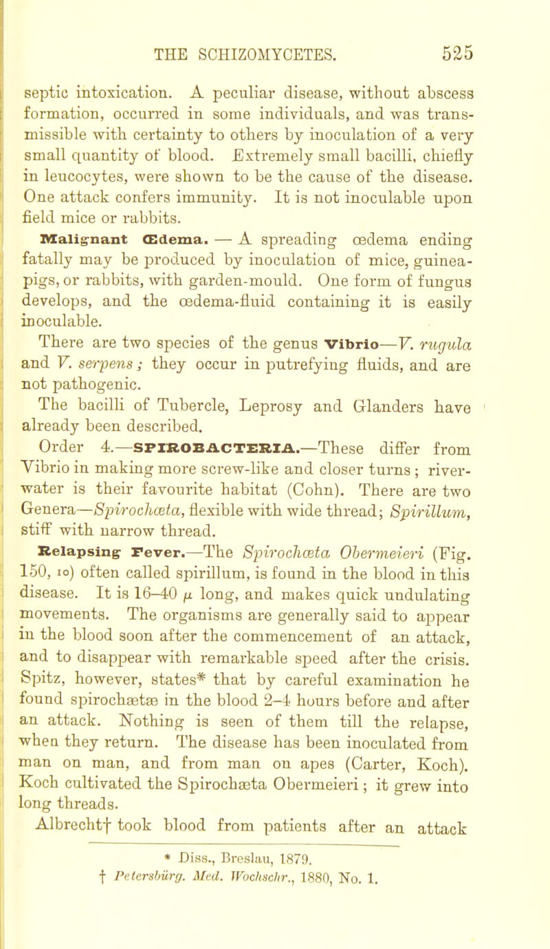 septic intoxication. A peculiar disease, without abscess formation, occurred in some individuals, and was trans- missible with certainty to others by inoculation of a very small quantity of blood. Extremely small bacilli, chiefly in leucocytes, were shown to be the cause of the disease. One attack confers immunity. It is not inoculable upon field mice or rabbits. Malig-nant (Edema. — A spreading csdema ending fatally may be produced by inoculation of mice, guinea- pigs, or rabbits, with garden-mould. One form of fungus develops, and the cedema-fluid containing it is easily inoculable. There are two species of the genus vibrio—V. rugula and V. serpens; they occur in putrefying fluids, and are not pathogenic. The bacilli of Tubercle, Leprosy and Glanders have already been described. Order 4.—SPIROBACTERIA—These difler from Vibrio in making more screw-like and closer turns; river- water is their favourite habitat (Cohn). There are two Genera—Spirochceta, flexible with wide thread; Spirilhcm, stiff with narrow thread. Relapsing: Tever.—The Spirochceta Ohermeieri (Fig. 150, lo) often called spirillum, is found in the blood in this disease. It is 16-40 ^ long, and makes quick undulating movements. The organisms are generally said to appear m the blood soon after the commencement of an attack, and to disappear with remarkable speed after the crisis. Spitz, however, states* that by careful examination he found spirochgetse in the blood 2-4 hours before and after an attack. Nothing is seen of them till the relapse, whea they return. The disease has been inoculated from man on man, and from man on apes (Carter, Koch). Koch cultivated the Spirochseta Obermeieri; it grew into long threads. Albrechtf took blood from patients after an attack * Diss., Breslau, 1879. f Petersburg. Med. Wodisdir., 1880, No. 1.