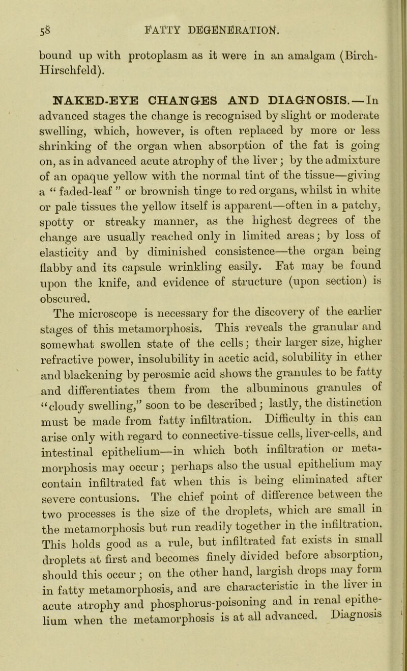 bound up with protoplasm as it were in an amalgam (Birch- Hirschfeld). NAKED-EYE CHANGES AND DIAGNOSIS. —In advanced stages the change is recognised by slight or moderate swelling, which, however, is often replaced by more or less shrinking of the organ when absorption of the fat is going on, as in advanced acute atrophy of the liver; by the admixture of an opaque yellow with the normal tint of the tissue—giving a “ faded-leaf ” or brownish tinge to red organs, whilst in white or pale tissues the yellow itself is apparent—often in a patchy, spotty or streaky manner, as the highest degrees of the change are usually reached only in limited areas; by loss of elasticity and by diminished consistence—the organ being flabby and its capsule wrinkling easily. Fat may be found upon the knife, and evidence of structure (upon section) is obscured. The microscope is necessary for the discovery of the earlier stages of this metamorphosis. This reveals the granular and somewhat swollen state of the cells; their larger size, higher refractive power, insolubility in acetic acid, solubility in ether and blackening by perosmic acid shows the granules to be fatty and differentiates them from the albuminous granules of “cloudy swelling,” soon to be described; lastly, the distinction must be made from fatty infiltration. Difficulty in this can arise only with regard to connective-tissue cells, liver-cells, and intestinal epithelium—in which both infiltration or meta- morphosis may occur; perhaps also the usual epithelium may contain infiltrated fat when this is being eliminated aftei severe contusions. The chief point of difference between the two processes is the size of the droplets, which are small in the metamorphosis but run readily together iu the infiltration. This holds good as a rule, but infiltrated fat exists m small droplets at first and becomes finely divided before absorption, should this occur; on the other hand, largish drops may form in fatty metamorphosis, and are characteristic in the li\ei in acute atrophy and phosphorus-poisoning and in renal epithe- lium when the metamorphosis is at all advanced. Diagnosis