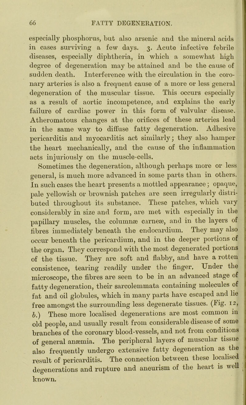 especially phosphorus, but also arsenic and the mineral acids in cases surviving a few days. 3. Acute infective febrile diseases, especially diphtheria, in which a somewhat high degree of degeneration may be attained and be the cause of sudden death. Interference with the circulation in the coro- nary arteries is also a frequent cause of a more or less general degeneration of the muscular tissue. This occurs especially as a result of aortic incompetence, and explains the early failure of cardiac power in this form of valvular disease. Atheromatous changes at the orifices of these arteries lead in the same wTay to diffuse fatty degeneration. Adhesive pericarditis and myocarditis act similarly; they also hamper the heart mechanically, and the cause of the inflammation acts injuriously on the muscle-cells. Sometimes the degeneration, although perhaps more or less general, is much more advanced in some parts than in others. In such cases the heart presents a mottled appearance; opaque, pale yellowish or brownish patches are seen irregularly distri- buted throughout its substance. These patches, which vary considerably in size and form, are met with especially in the papillary muscles, the columnse carnese, and in the layers of fibres immediately beneath the endocardium. They may also occur beneath the pericardium, and in the deeper portions of the organ. They correspond with the most degenerated portions of the tissue. They are soft and flabby, and have a rotten consistence, tearing readily under the finger. Under the microscope, the fibres are seen to be in an advanced stage of fatty degeneration, their sarcolemmata containing molecules of fat and oil globules, which in many parts have escaped and lie free amongst the surrounding less degenerate tissues. (Fig- I2? b.) These more localised degenerations are most common in old people, and usually result from considerable disease of some branches of the coronary blood-vessels, and not from conditions of general anaemia. The peripheral layers of muscular tissue also frequently undergo extensive fatty degeneration as the result of pericarditis. The connection between these localised degenerations and rupture and aneurism of the heart is well known.