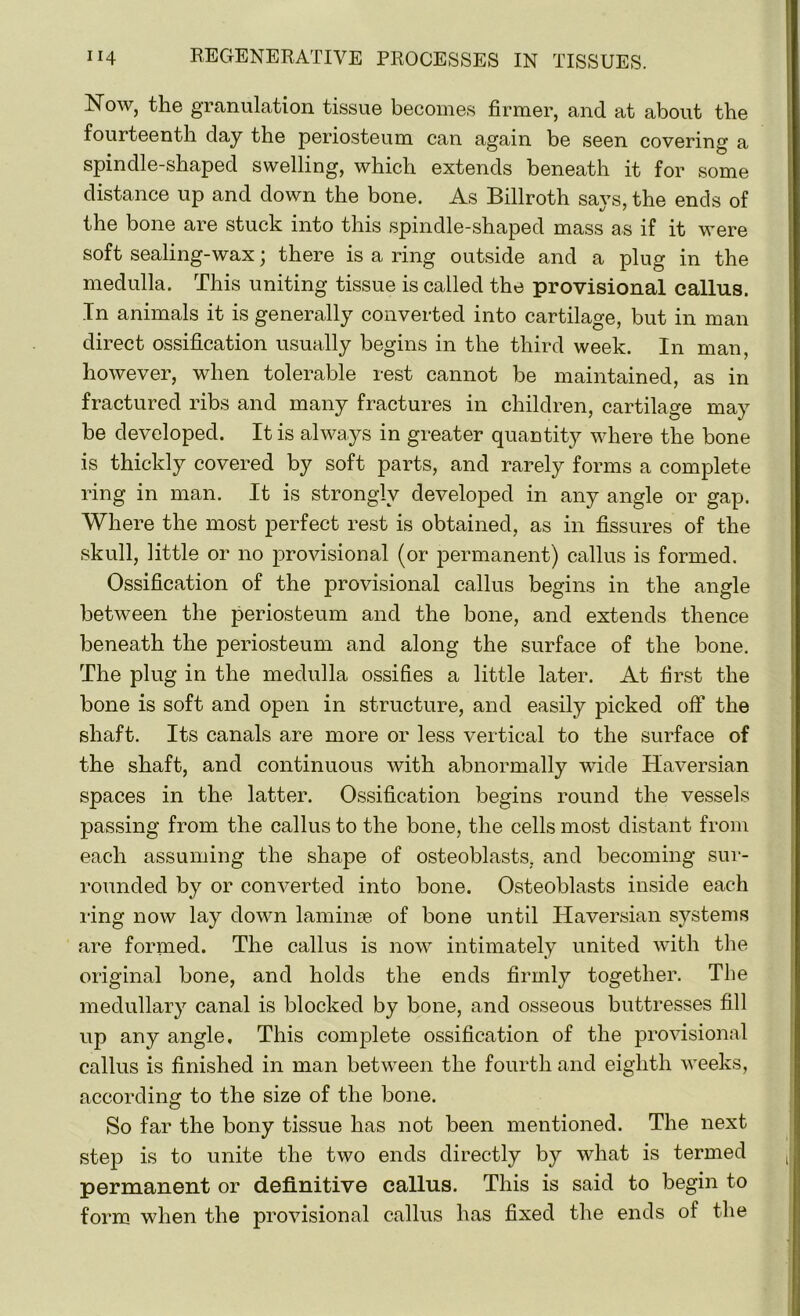 Now, the granulation tissue becomes firmer, and at about the fourteenth clay the periosteum can again be seen covering a spindle-shaped swelling, which extends beneath it for some distance up and down the bone. As Billroth savs, the ends of the bone are stuck into this spindle-shaped mass as if it were soft sealing-wax j there is a ring outside and a plug in the medulla. This uniting tissue is called the provisional callus. In animals it is generally converted into cartilage, but in man direct ossification usually begins in the third week. In man, however, when tolerable rest cannot be maintained, as in fractured ribs and many fractures in children, cartilage may be developed. It is always in greater quantity where the bone is thickly covered by soft parts, and rarely forms a complete ring in man. It is strongly developed in any angle or gap. Where the most perfect rest is obtained, as in fissures of the skull, little or no provisional (or permanent) callus is formed. Ossification of the provisional callus begins in the angle between the periosteum and the bone, and extends thence beneath the periosteum and along the surface of the bone. The plug in the medulla ossifies a little later. At first the bone is soft and open in structure, and easily picked off the shaft. Its canals are more or less vertical to the surface of the shaft, and continuous with abnormally wide Haversian spaces in the latter. Ossification begins round the vessels passing from the callus to the bone, the cells most distant from each assuming the shape of osteoblasts, and becoming sur- rounded by or converted into bone. Osteoblasts inside each ring now lay down lamina; of bone until Haversian systems are formed. The callus is now intimately united with the original bone, and holds the ends firmly together. The medullary canal is blocked by bone, and osseous buttresses fill up any angle. This complete ossification of the provisional callus is finished in man between the fourth and eighth weeks, according to the size of the bone. So far the bony tissue has not been mentioned. The next step is to unite the two ends directly by what is termed permanent or definitive callus. This is said to begin to form when the provisional callus has fixed the ends of the