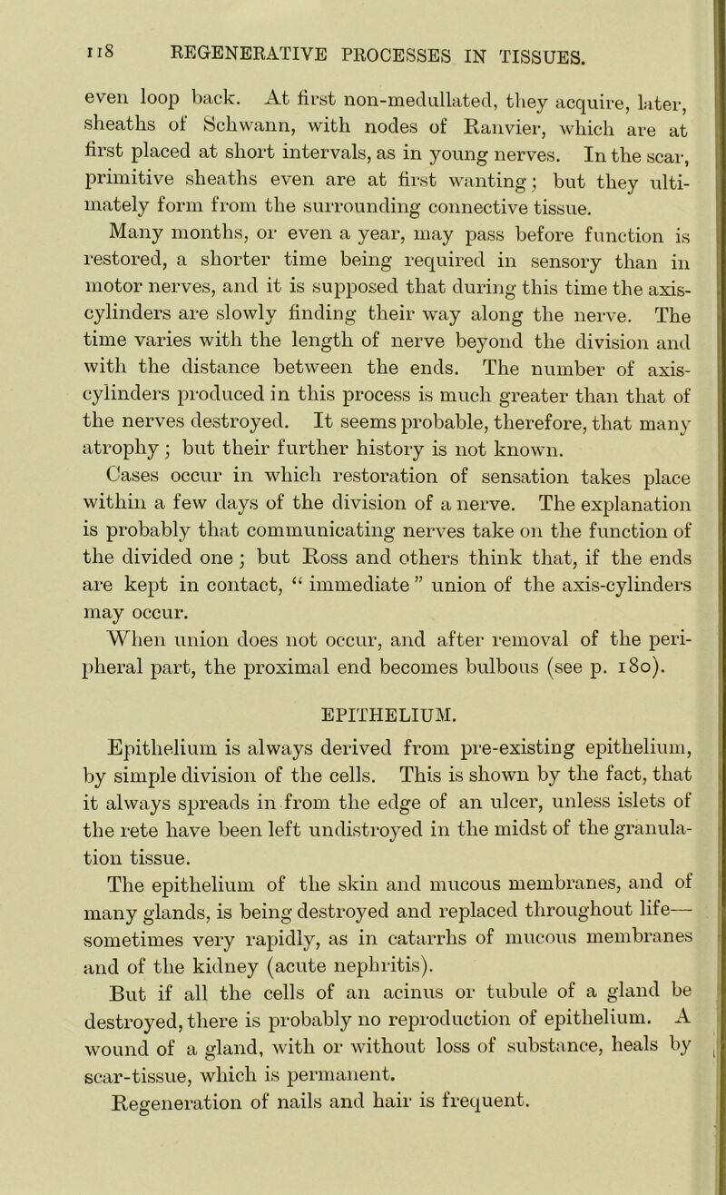 even loop back. At first non-medullated, tliey acquire, later, sheaths of Schwann, with nodes of Ranvier, which are at first placed at short intervals, as in young nerves. In the scar, primitive sheaths even are at first wanting; but they ulti- mately form from the surrounding connective tissue. Many months, or even a year, may pass before function is restored, a shorter time being required in sensory than in motor nerves, and it is supposed that during this time the axis- cylinders are slowly finding their way along the nerve. The time varies with the length of nerve beyond the division and with the distance between the ends. The number of axis- cylinders produced in this process is much greater than that of the nerves destroyed. It seems probable, therefore, that many atrophy; but their further history is not known. Cases occur in which restoration of sensation takes place within a few days of the division of a nerve. The explanation is probably that communicating nerves take on the function of the divided one ; but Ross and others think that, if the ends are kept in contact, “ immediate ” union of the axis-cylinders may occur. When union does not occur, and after removal of the peri- pheral part, the proximal end becomes bulbous (see p. 180). EPITHELIUM. Epithelium is always derived from pre-existing epithelium, by simple division of the cells. This is shown by the fact, that it always spreads in from the edge of an ulcer, unless islets of the rete have been left undistroyed in the midst of the granula- tion tissue. The epithelium of the skin and mucous membranes, and of many glands, is being destroyed and replaced throughout life— sometimes very rapidly, as in catarrhs of mucous membranes and of the kidney (acute nephritis). But if all the cells of an acinus or tubule of a gland be destroyed, there is probably no reproduction of epithelium. A wound of a gland, with or without loss of substance, heals by scar-tissue, which is permanent. Regeneration of nails and hair is frequent.
