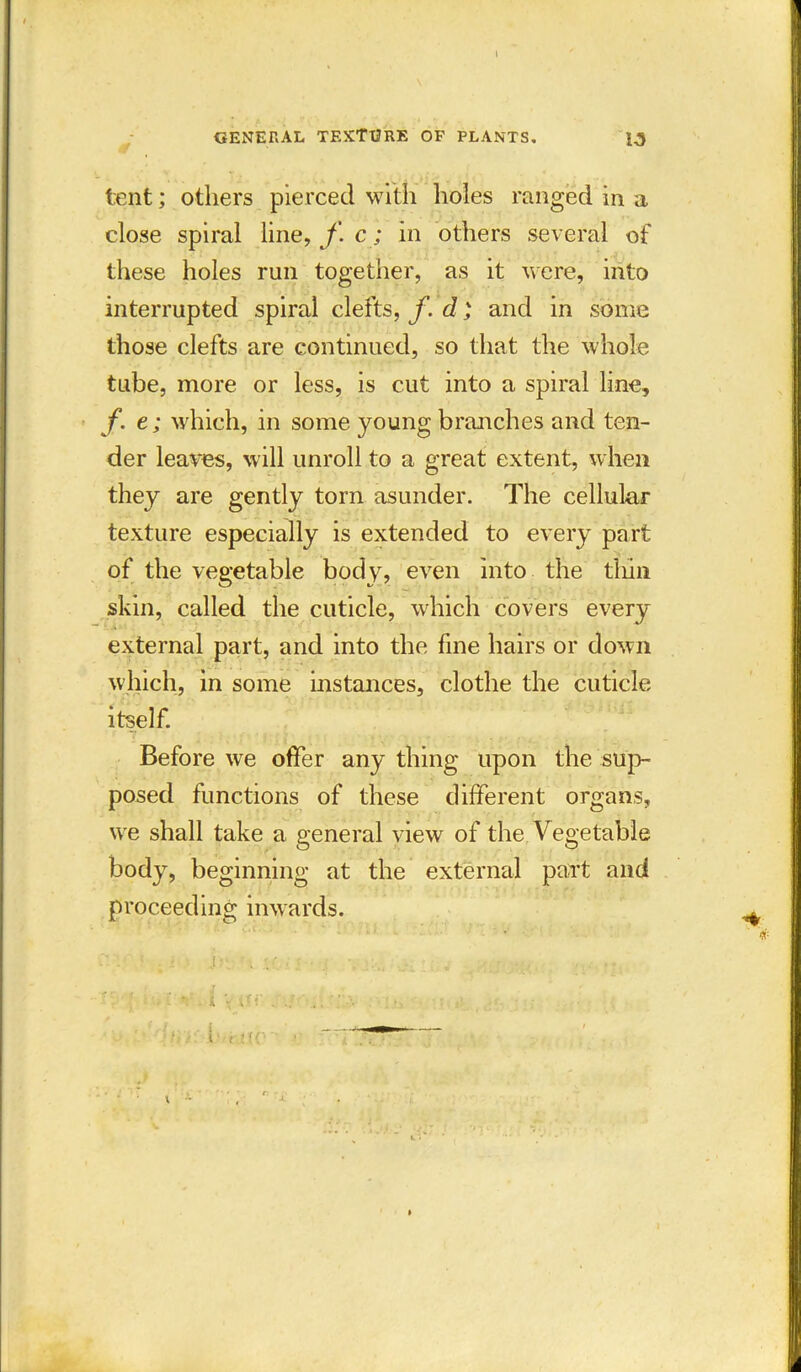 tent; others pierced with holes ranged in a close spiral line, f. c; in others several of these holes run together, as it were, into interrupted spiral clefts, f-d ) and in some those clefts are continued, so that the whole tube, more or less, is cut into a spiral line, f. e; which, in some young branches and ten- der leaves, will unroll to a great extent, when they are gently torn asunder. The cellular texture especially is extended to every part of the vegetable body, even into the thin skin, called the cuticle, which covers every external part, and into the fine hairs or down which, in some instances, clothe the cuticle itself. Before we offer any thing upon the sup- posed functions of these different organs, we shall take a general view of the Vegetable body, beginning at the external part and proceeding inwards. • .!•■ •; 't . i ... , . - .7