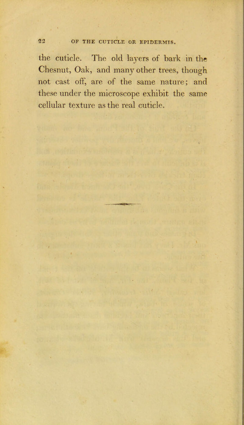 the cuticle. The old layers of bark in the Chesnut, Oak, and many other trees, though not cast off, are of the same nature; and these under the microscope exhibit the same cellular texture as the real cuticle.