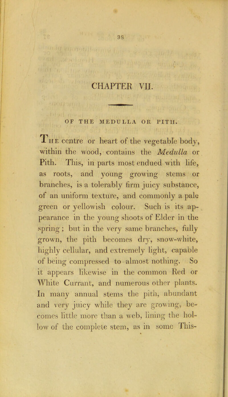 CHAPTER VII. OF THE MEDULLA OR PITH. The centre or heart of the vegetable body, within the wood, contains the Medulla or Pith. This, in parts most endued with life, as roots, and young growing stems or branches, is a tolerably firm juicy substance, of an uniform texture, and commonly a pale green or yellowish colour. Such is its ap- pearance in the young shoots of Elder in the spring; but in the very same branches, fully grown, the pith becomes dry, snow-white, highly cellular, and extremely light, capable of being compressed to almost nothing. So it appears likewise in the common Red or White Currant, and numerous other plants. In many annual stems the pith, abundant and very juicy while they are growing, be- comes little more than a web, lining the hol- low of the complete stem, as in some This-