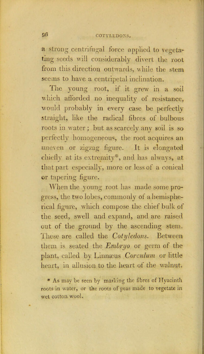 COTYLLDONS. a strong centrifugal force applied to vegeta- ting seeds will considerably divert the root from this direction outwards, while the stem seems to have a centripetal inclination. The young root, if it grew in a soil which afforded no inequality of resistance, would probably in every case be perfectly straight, like the radical fibres of bulbous roots in water; but as scarcely any soil is so perfectly homogeneous, the root acquires an uneven or zigzag figure. It is elongated chiefly at its extremity*, and has always, at that part especially, more or less of a conical or tapering figure. When the young root has made some pro- gress, the two lobes, commonly of a hemisphe- rical figure, which compose the chief bulk of the seed, swell and expand, and are raised out of the ground by the ascending stem. These are called the Cotyledons. Between them is seated the Embryo or germ of the plant, called by Linnaeus Corculum or little heart, in allusion to the heart of the walnut. * As may be seen by marking the fibres of Hyacinth roots in water, or the roots of peas made to vegetate in wet cotton wool.