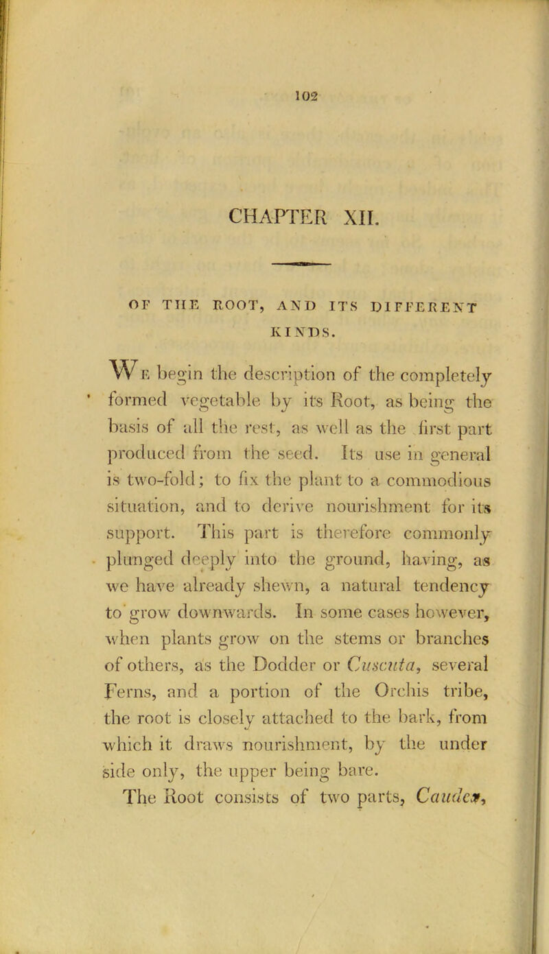 CHAPTER XII. f - • ! OF THE ROOT, AND ITS DIFFERENT KINDS. W e begin the description of the completely ’ formed vegetable by its Root, as being the basis of all the rest, as well as the first part produced from the seed. Its use in general is two-fold; to fix the plant to a commodious situation, and to derive nourishment for its support. This part is therefore commonly plunged deeply into the ground, having, as we have already shewn, a natural tendency to grow downwards. In some cases however, when plants grow on the stems or branches of others, as the Dodder or Cuscuto, several Ferns, and a portion of the Orchis tribe, the root is closely attached to the bark, from which it draws nourishment, by the under side only, the upper being bare. The Root consists of two parts, Cauclc