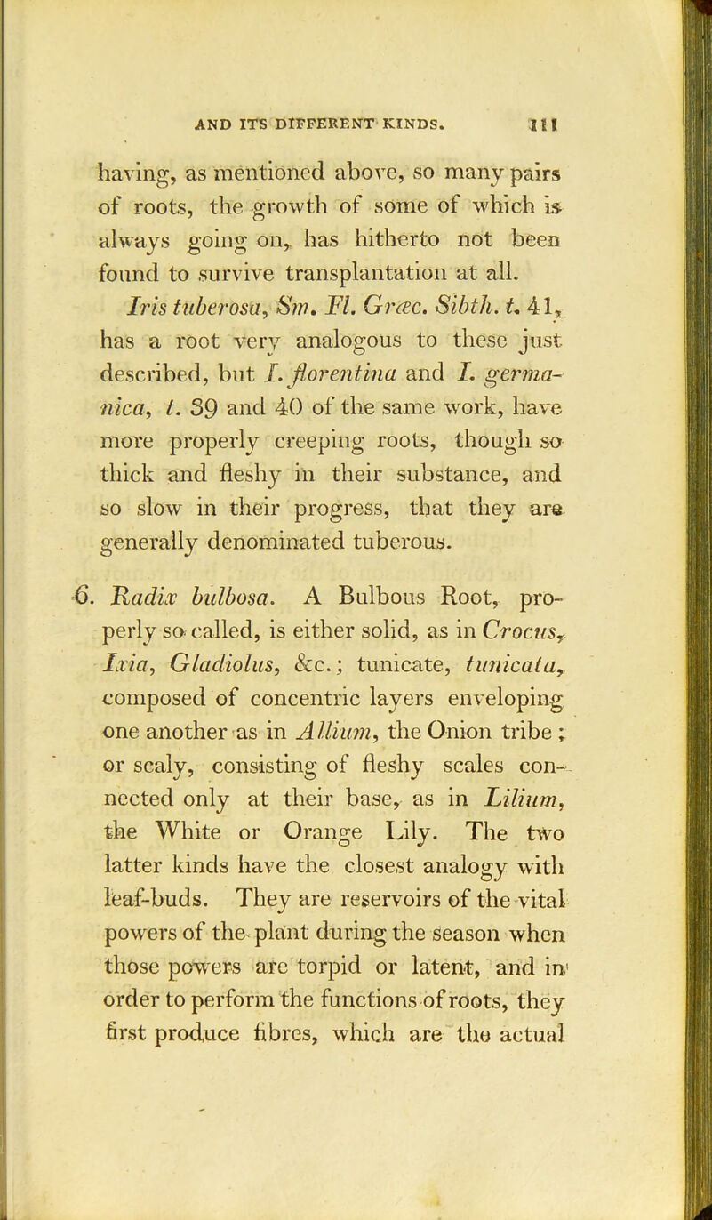 having, as mentioned above, so many pairs of roots, the growth of some of which is always going on,, has hitherto not been found to survive transplantation at all. Iris tuberosei, 8m. FI. Grcec. Sfbth. t. 41, has a root very analogous to these just- described, but I, florentina and I. germa- nica9 t. 39 and 40 of the same work, have more properly creeping roots, though so thick and fleshy in their substance, and so slow in their progress, that they are generally denominated tuberous. 6. Radix bulbosa. A Bulbous Root, pro- perly so called, is either solid, as in Crocusr Ilia, Gladiolus, See.; tunicate, t uni-cat a, composed of concentric layers enveloping one another as in Allium, the Onion tribe ; or scaly, consisting of fleshy scales con-. nected only at their base, as in Lilium, the White or Orange Lily. The two latter kinds have the closest analogy with leaf-buds. They are reservoirs of the vital powers of the^ plant during the season when those pow ers are torpid or latent, and in.' order to perform the functions of roots, they first produce fibres, which are tho actual